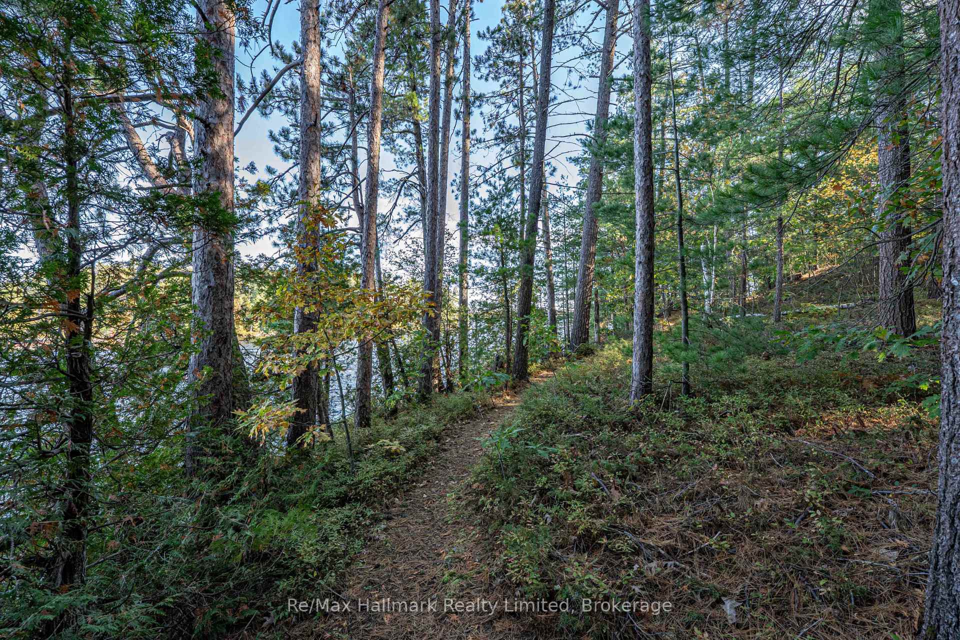 Photo 41 of 3 Island 20LM, Gravenhurst, Muskoka (S) — HOMEH
