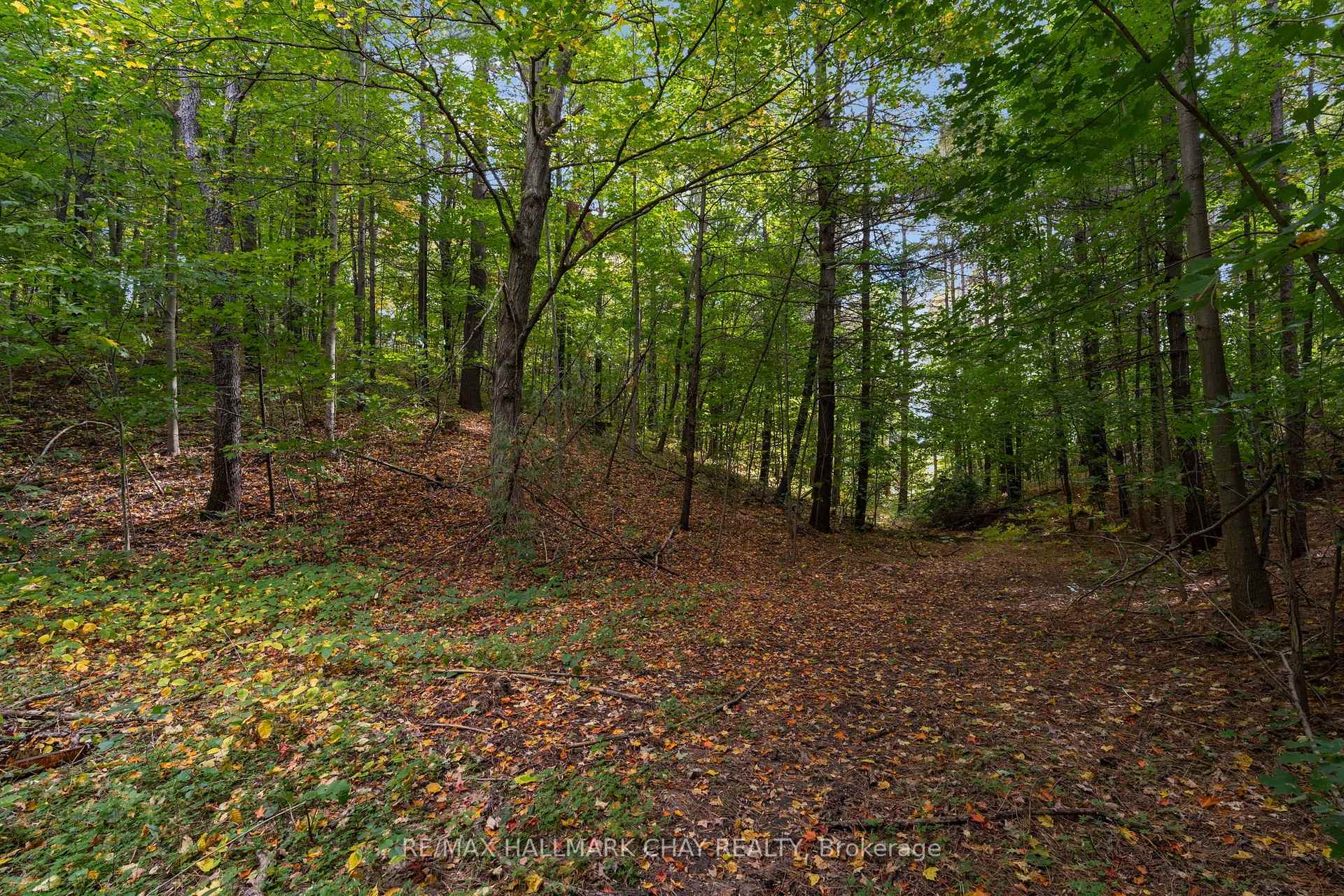 Photo 36 of 1855 Sunnidale Road, Springwater, Rural Springwater — HOMEH