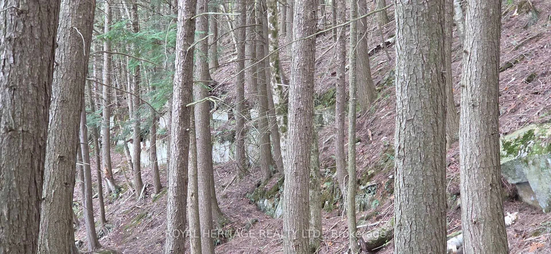 Photo 24 of 1280B Austris Road, Frontenac, Frontenac North — HOMEH