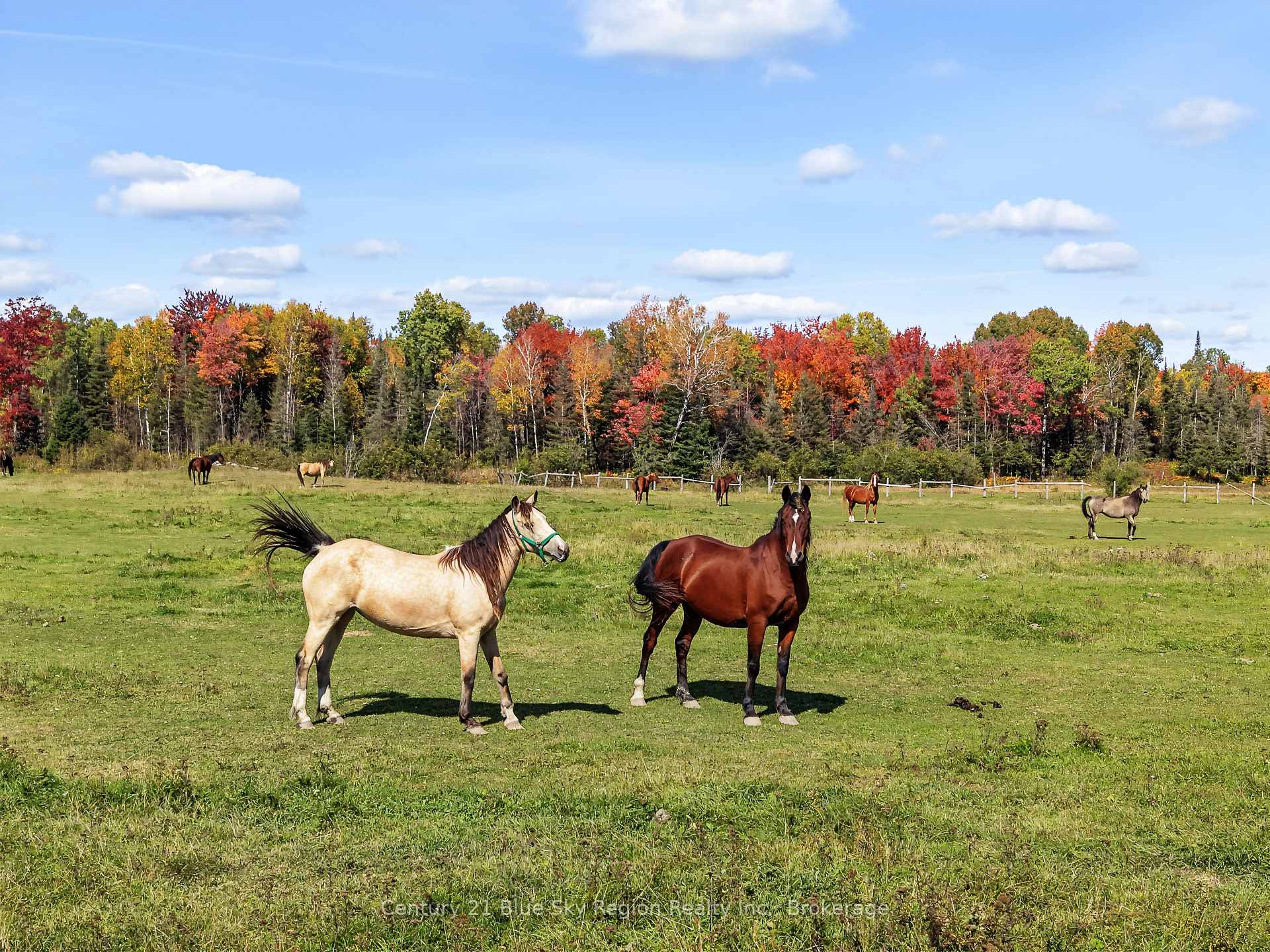 Photo 7 of 1383 Rabbit Trail Road, Markstay-Warren — HOMEH