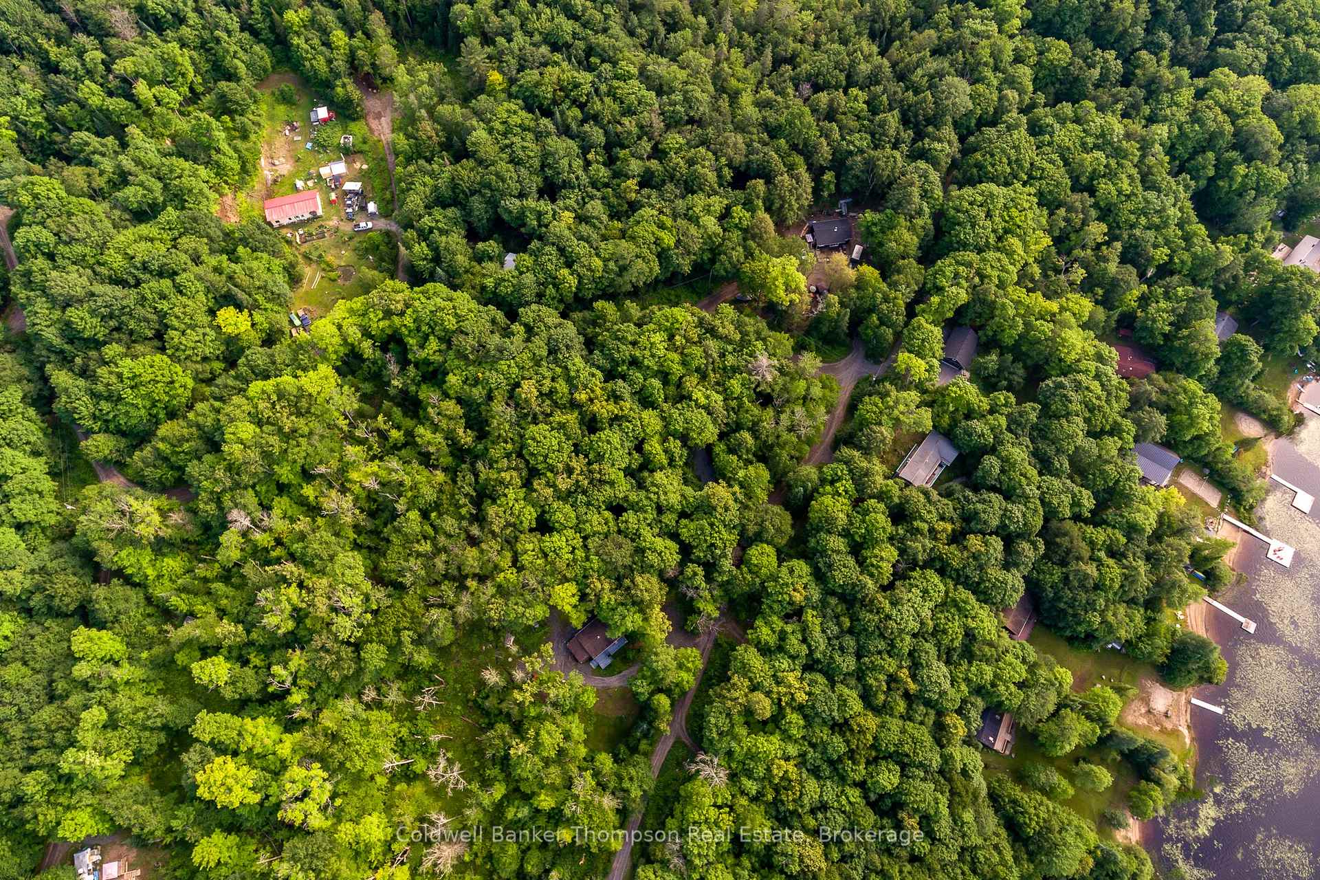 Photo 29 of 1106 Delia Road, Bracebridge, Macaulay — HOMEH