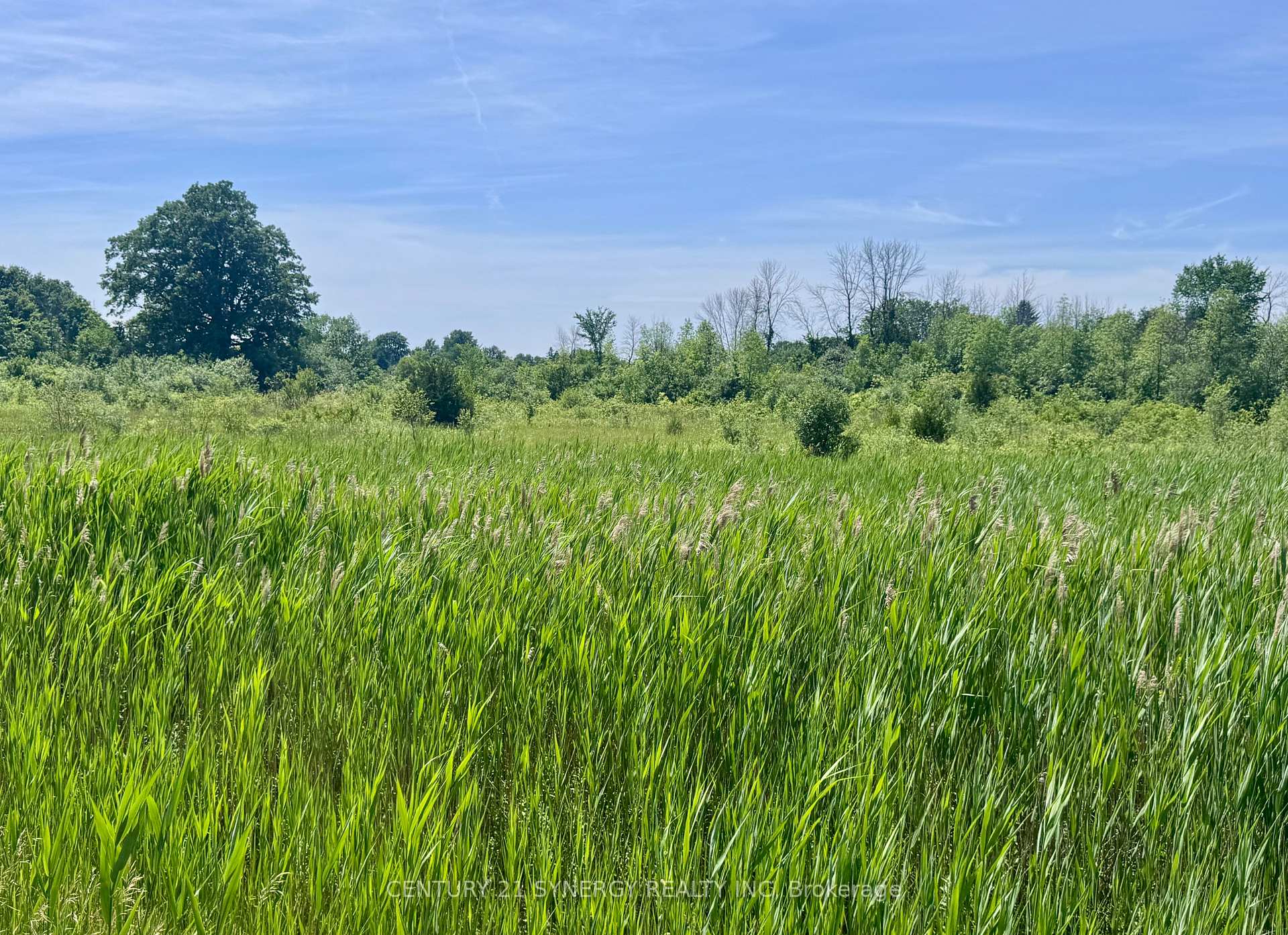 Photo 6 of 00 County Road 8 E, Elizabethtown-Kitley, Elizabethtown Kitley (Old K.) Twp — HOMEH