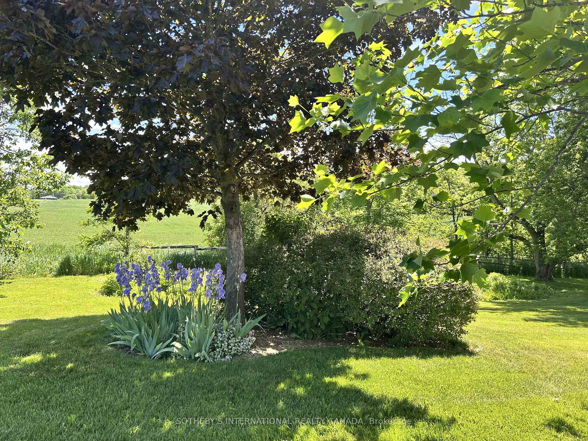 Photo 39 of 8185 17th Side Road, King, Rural King — HOMEH