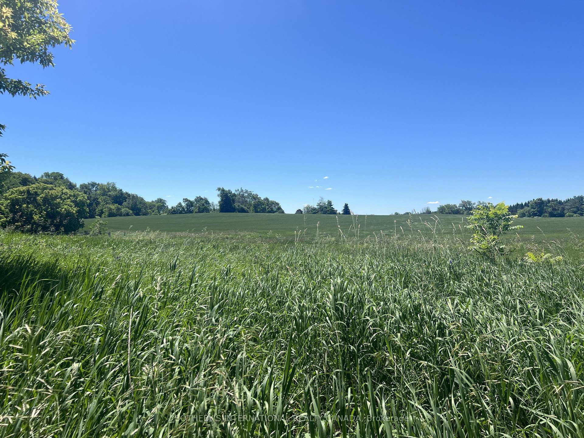 Photo 42 of 8185 17th Side Road, King, Rural King — HOMEH