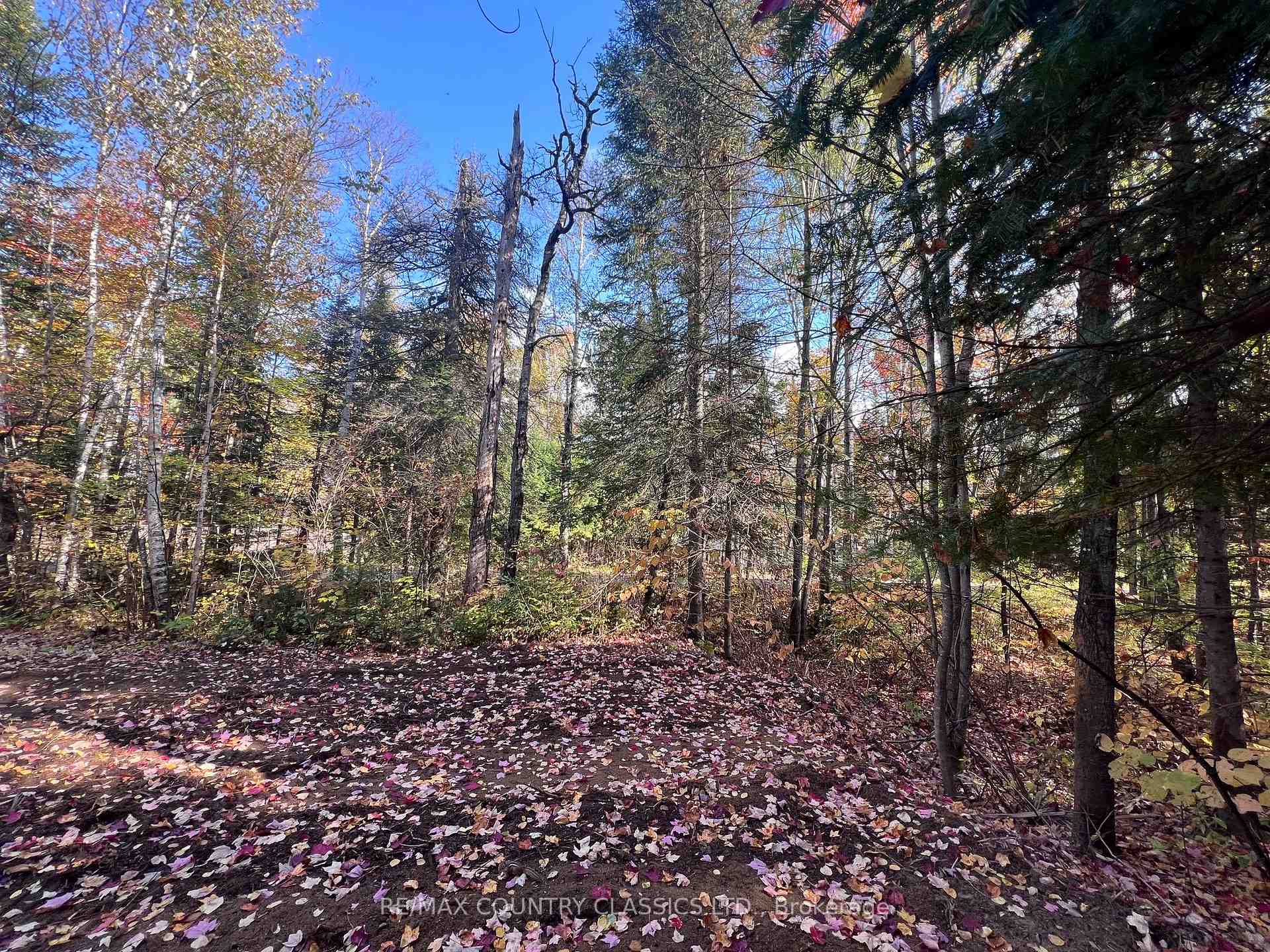 Photo of 0 High Bush Road