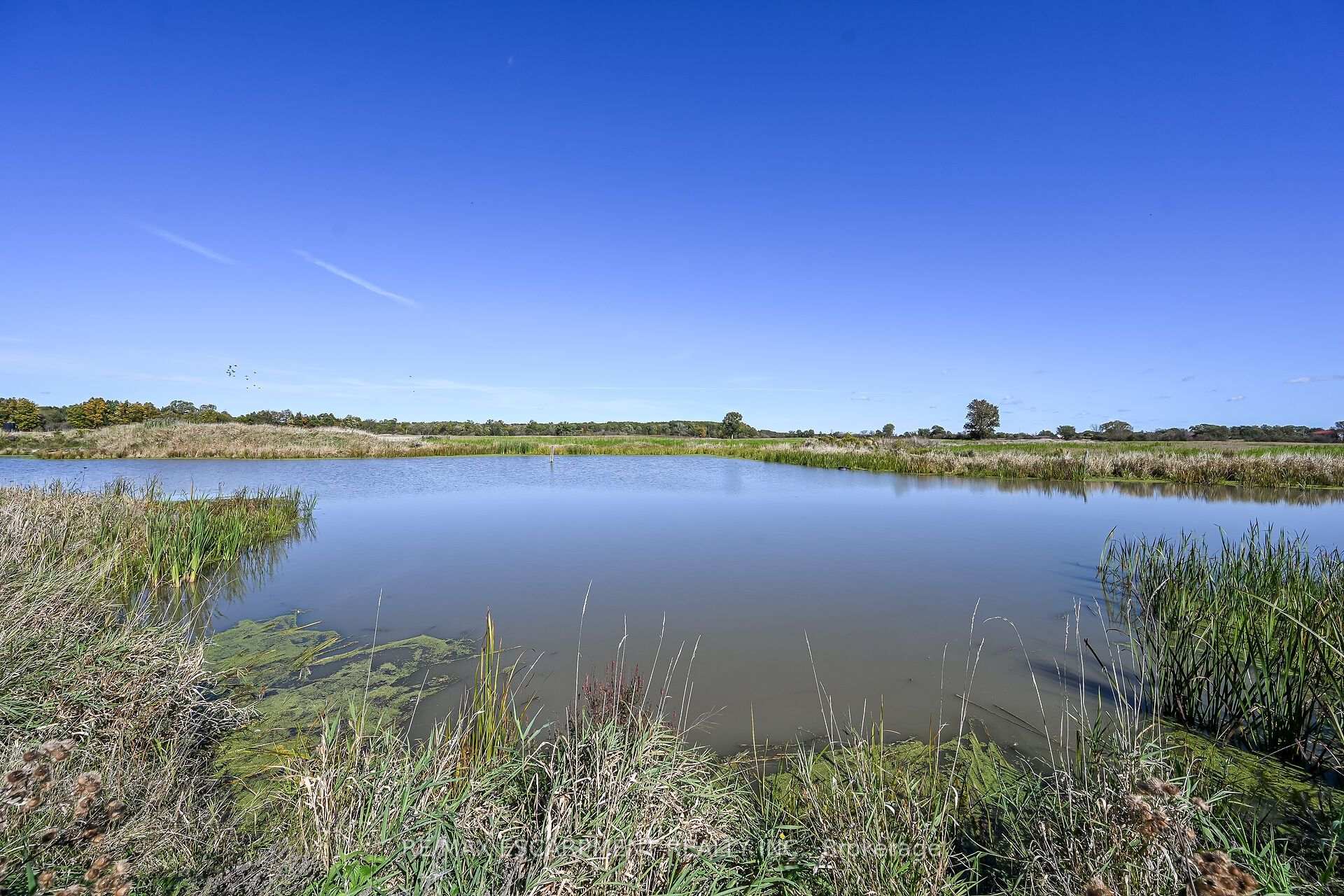 Photo 40 of 6128 Highway 3, Haldimand — HOMEH