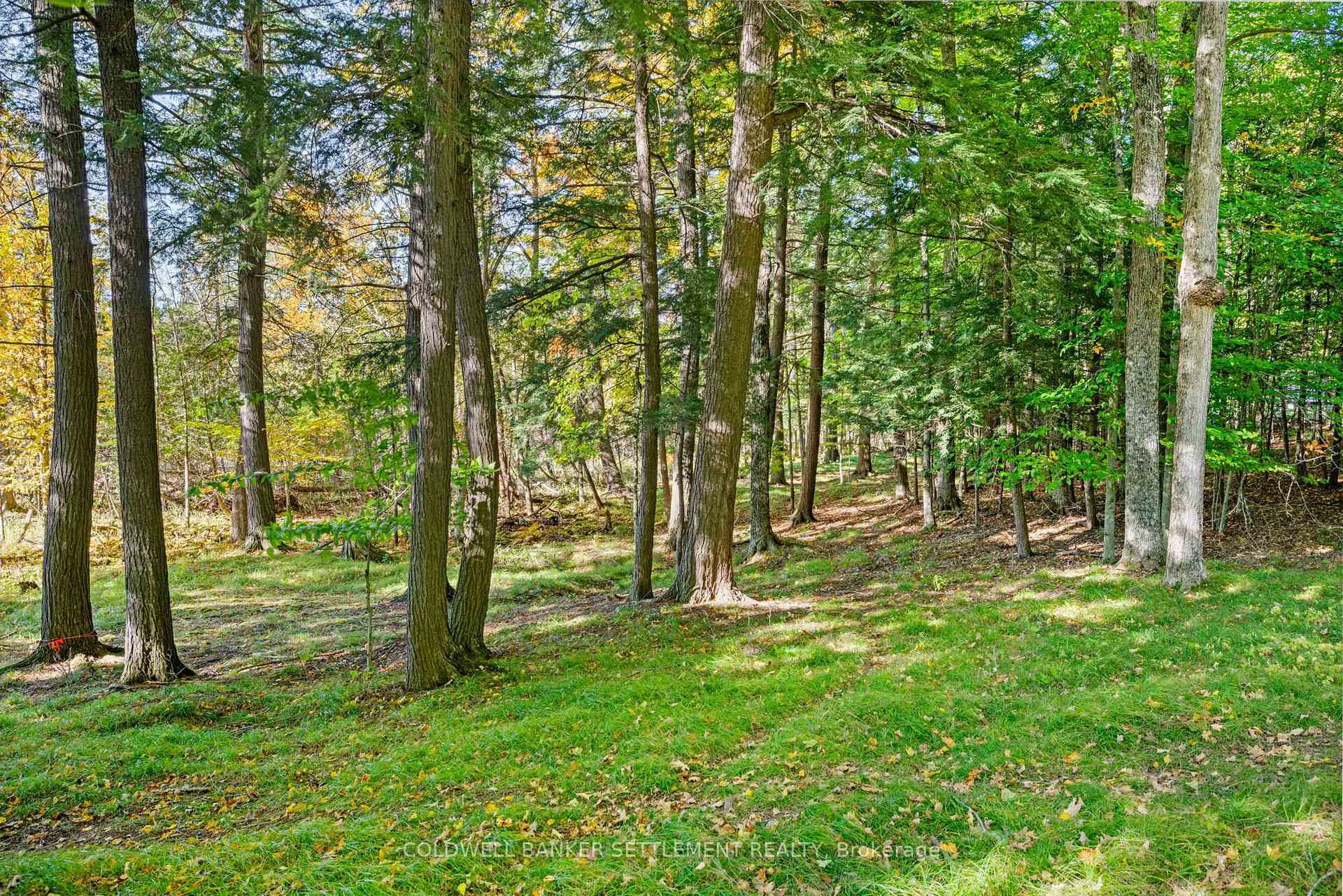 Photo 18 of Poole Drive, Drummond/North Elmsley, Drummond/North Elmsley (North Elmsley) Twp — HOMEH