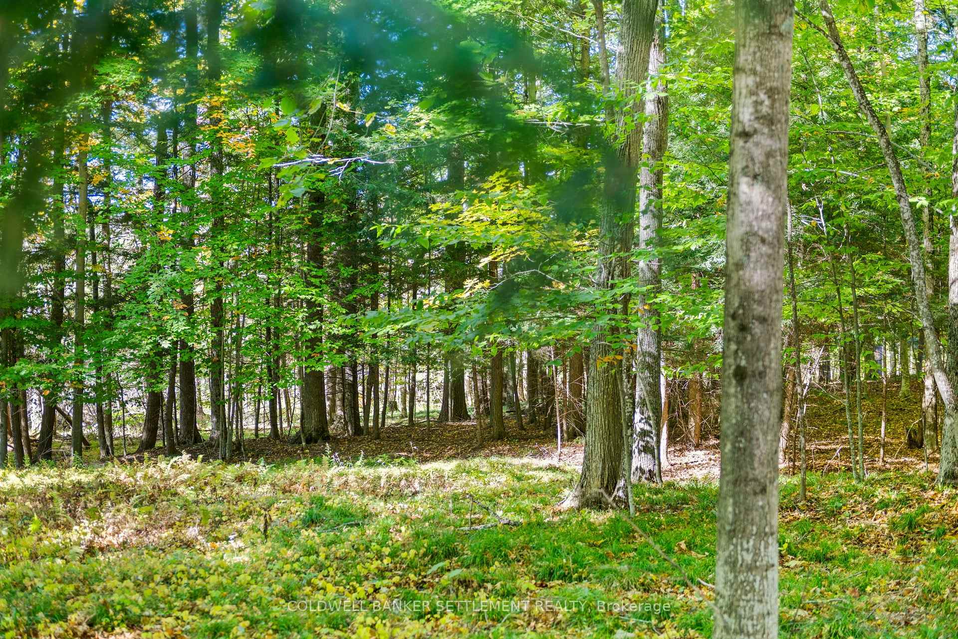 Photo 20 of Poole Drive, Drummond/North Elmsley, Drummond/North Elmsley (North Elmsley) Twp — HOMEH