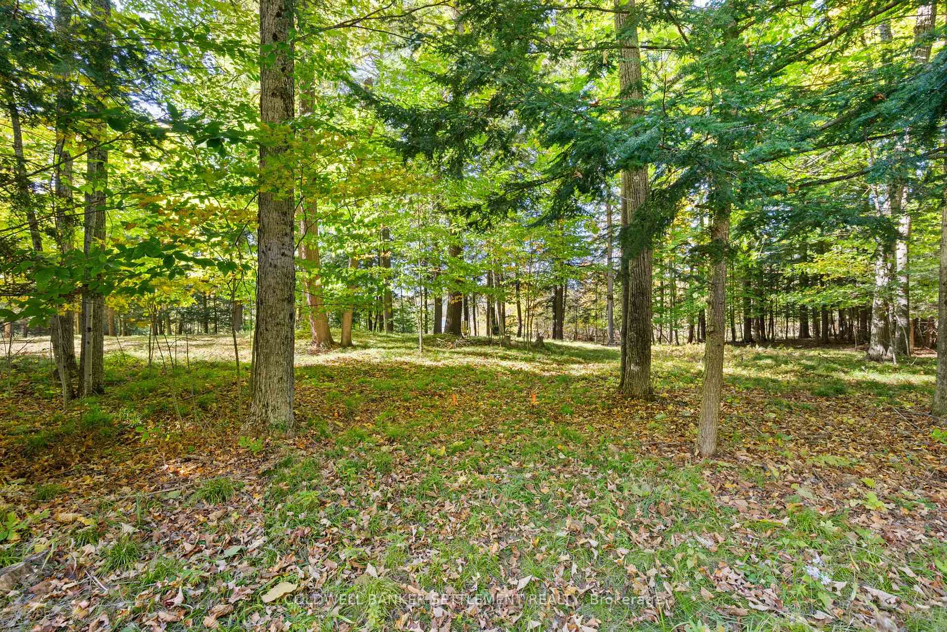 Photo 21 of Poole Drive, Drummond/North Elmsley, Drummond/North Elmsley (North Elmsley) Twp — HOMEH