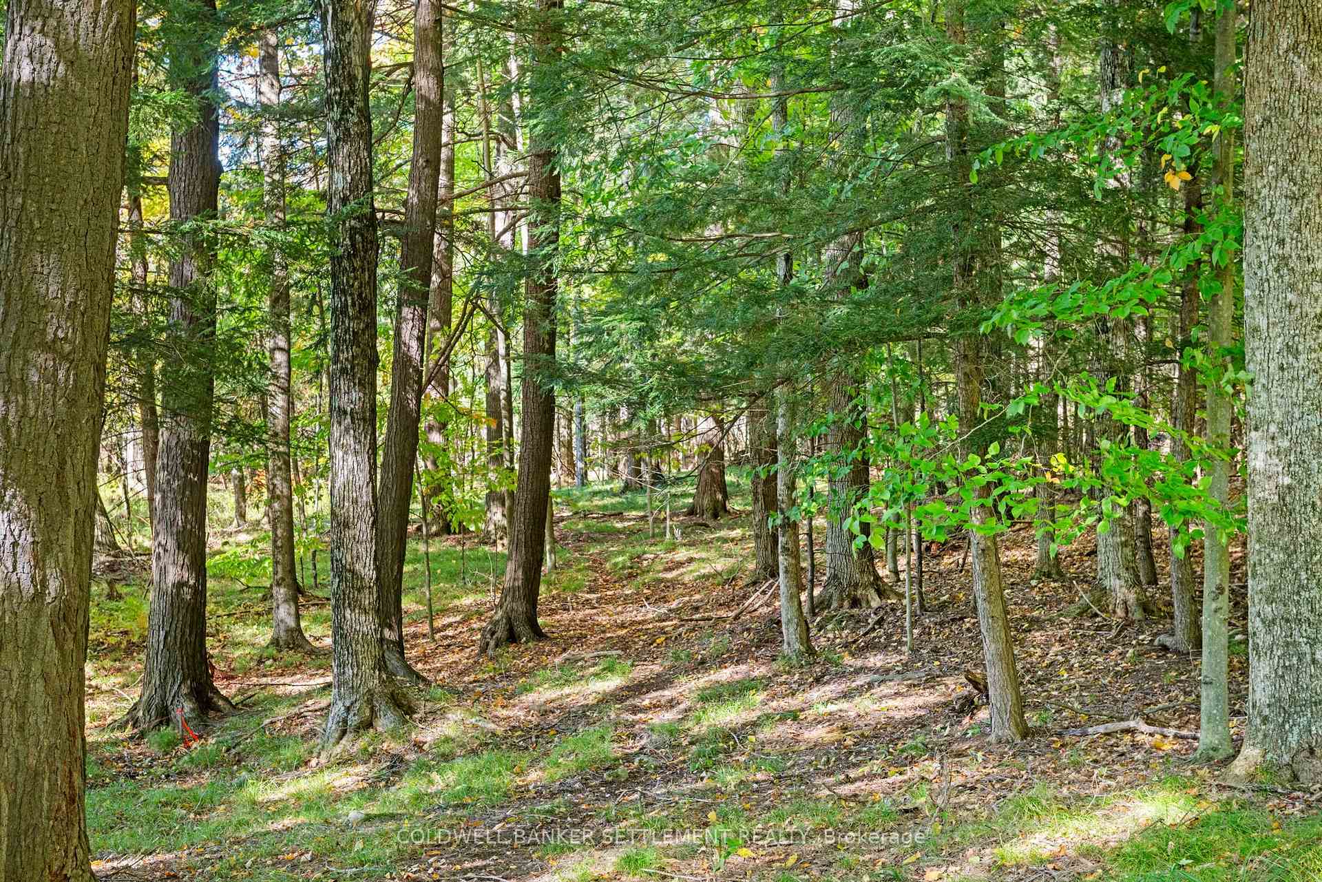 Photo 24 of Poole Drive, Drummond/North Elmsley, Drummond/North Elmsley (North Elmsley) Twp — HOMEH