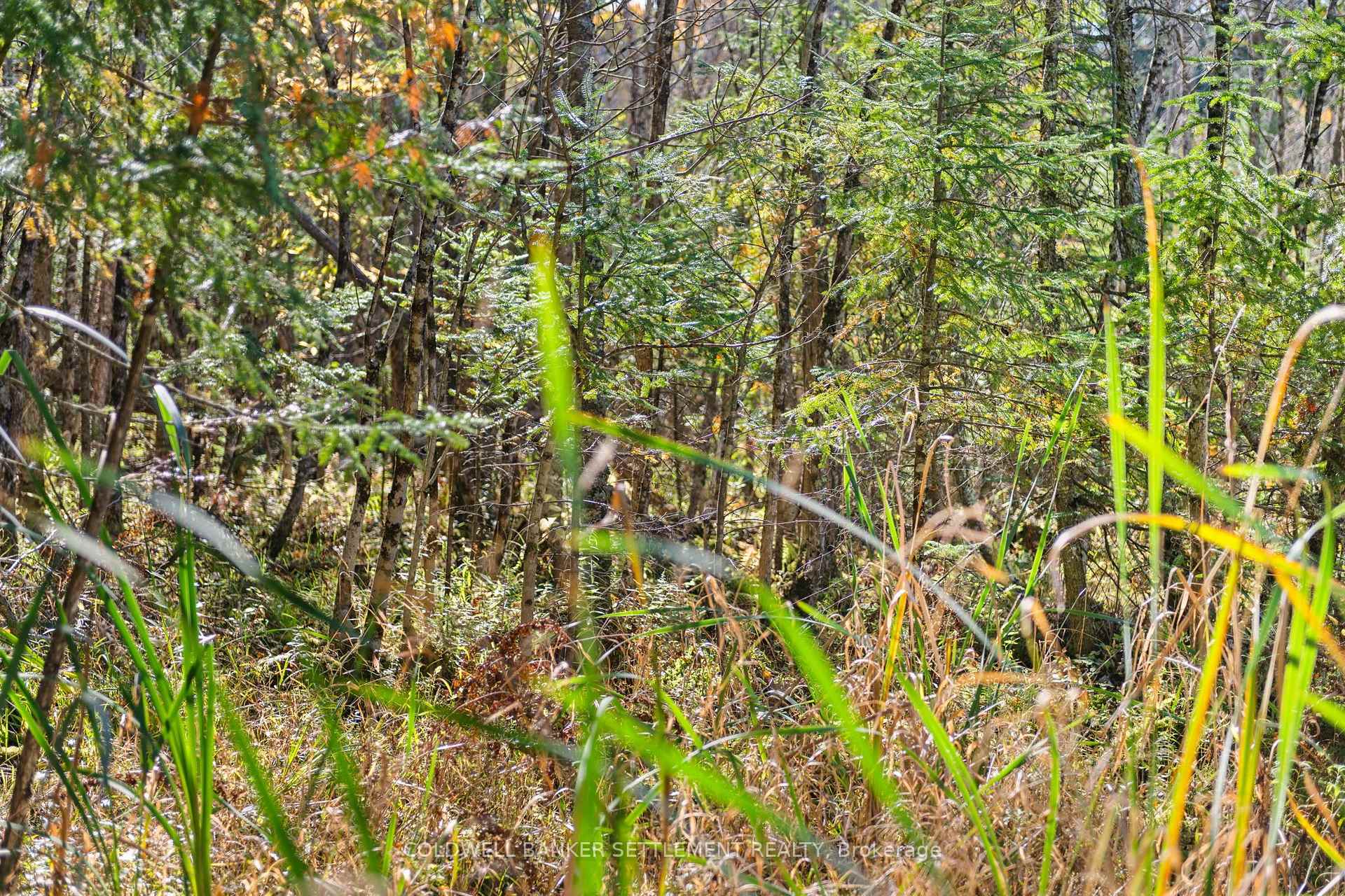 Photo 25 of Poole Drive, Drummond/North Elmsley, Drummond/North Elmsley (North Elmsley) Twp — HOMEH
