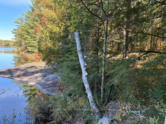 Photo 6 of 2 - 1112 Sam Cook Road, Gravenhurst, Ryde — HOMEH