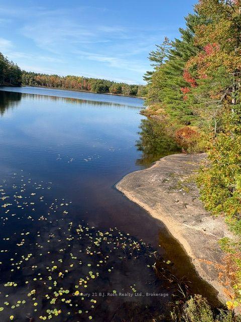 Photo 8 of 2 - 1112 Sam Cook Road, Gravenhurst, Ryde — HOMEH
