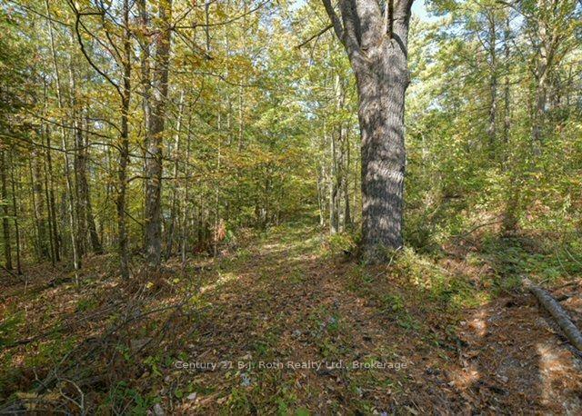 Photo 13 of 2 - 1112 Sam Cook Road, Gravenhurst, Ryde — HOMEH