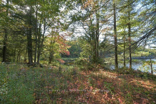 Photo 14 of 2 - 1112 Sam Cook Road, Gravenhurst, Ryde — HOMEH