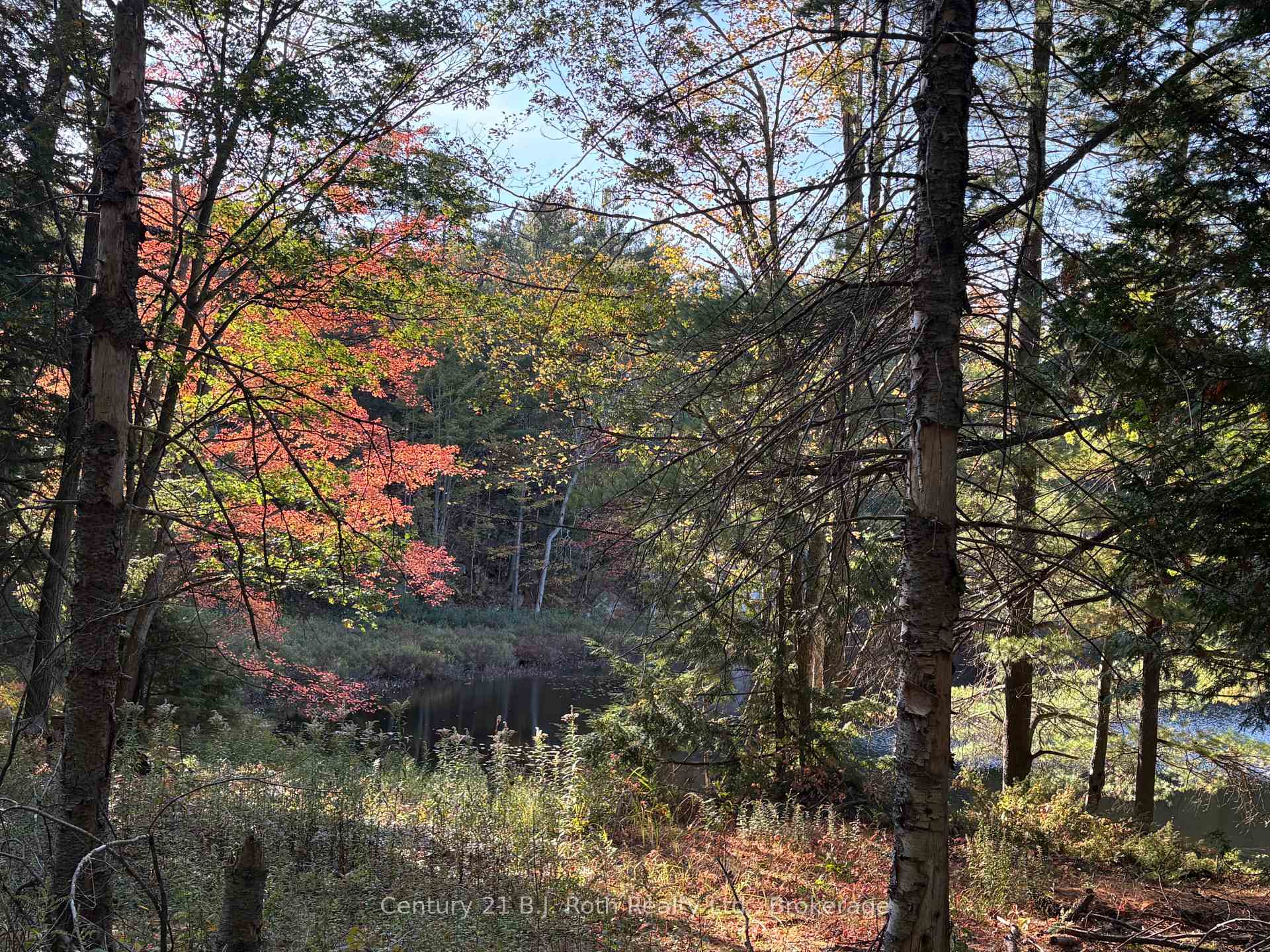 Photo 21 of 2 - 1112 Sam Cook Road, Gravenhurst, Ryde — HOMEH