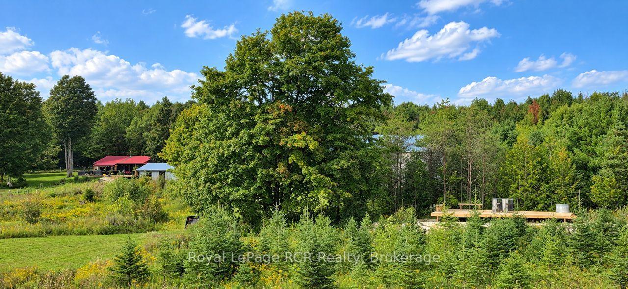 Photo 37 of 585216 Sideroad 10A, Grey Highlands — HOMEH