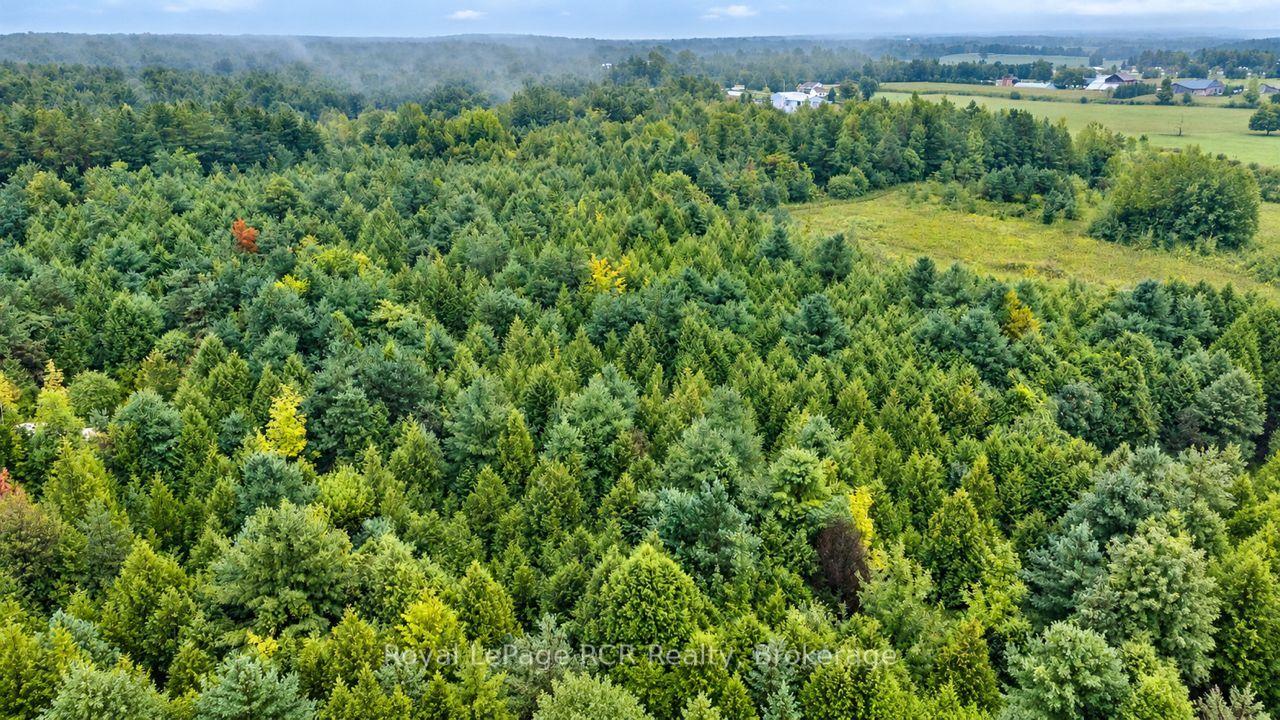 Photo 45 of 585216 Sideroad 10A, Grey Highlands — HOMEH