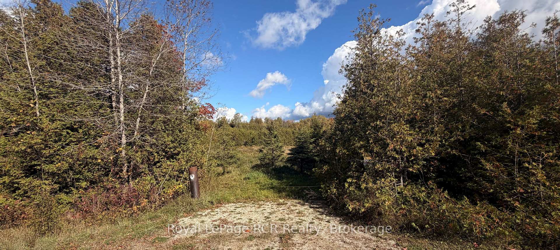 Photo 3 of 4 Side Road, Wellington North, Rural Wellington North — HOMEH