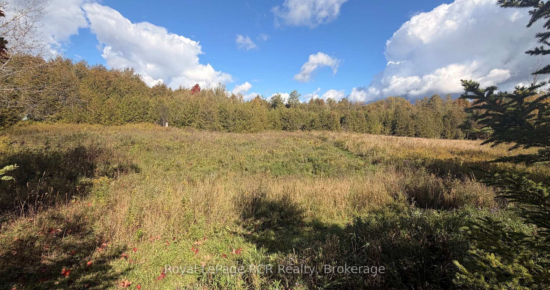 Photo 4 of 4 Side Road, Wellington North, Rural Wellington North — HOMEH
