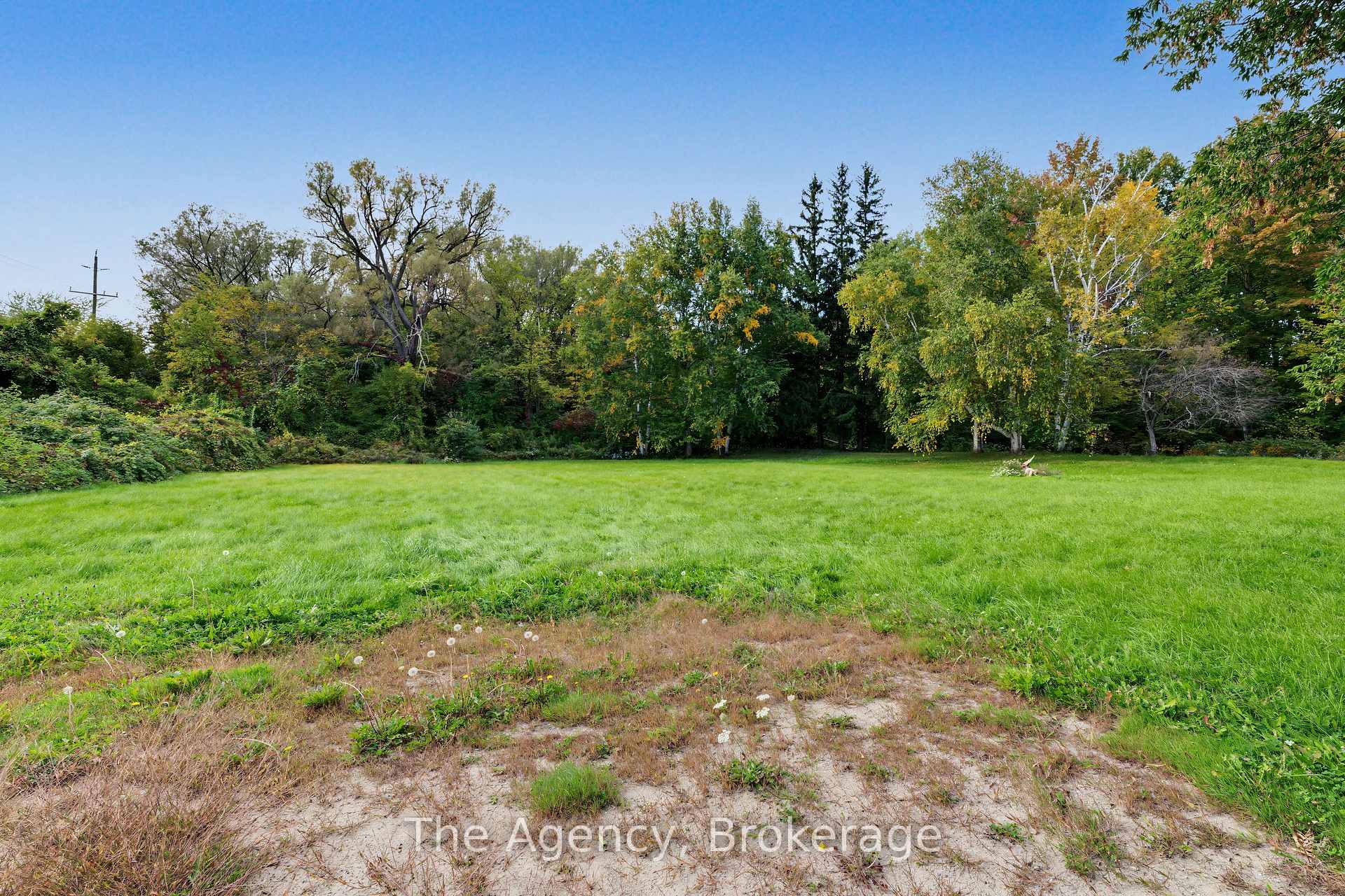Photo 42 of 645 Mountain Road, Collingwood — HOMEH