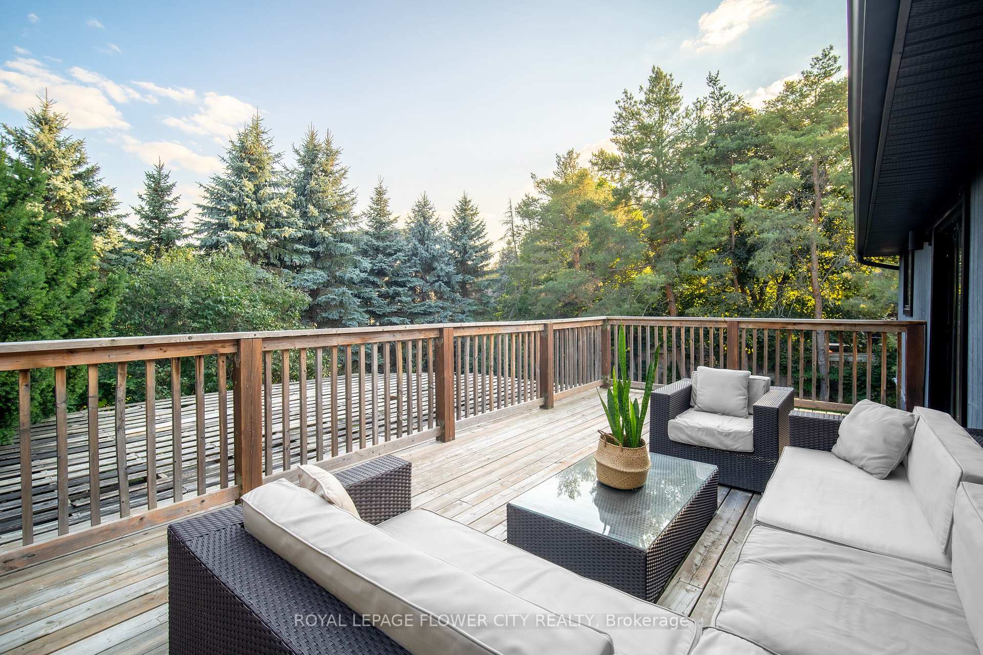 Photo 25 of 734 Mountain Road, Collingwood — HOMEH