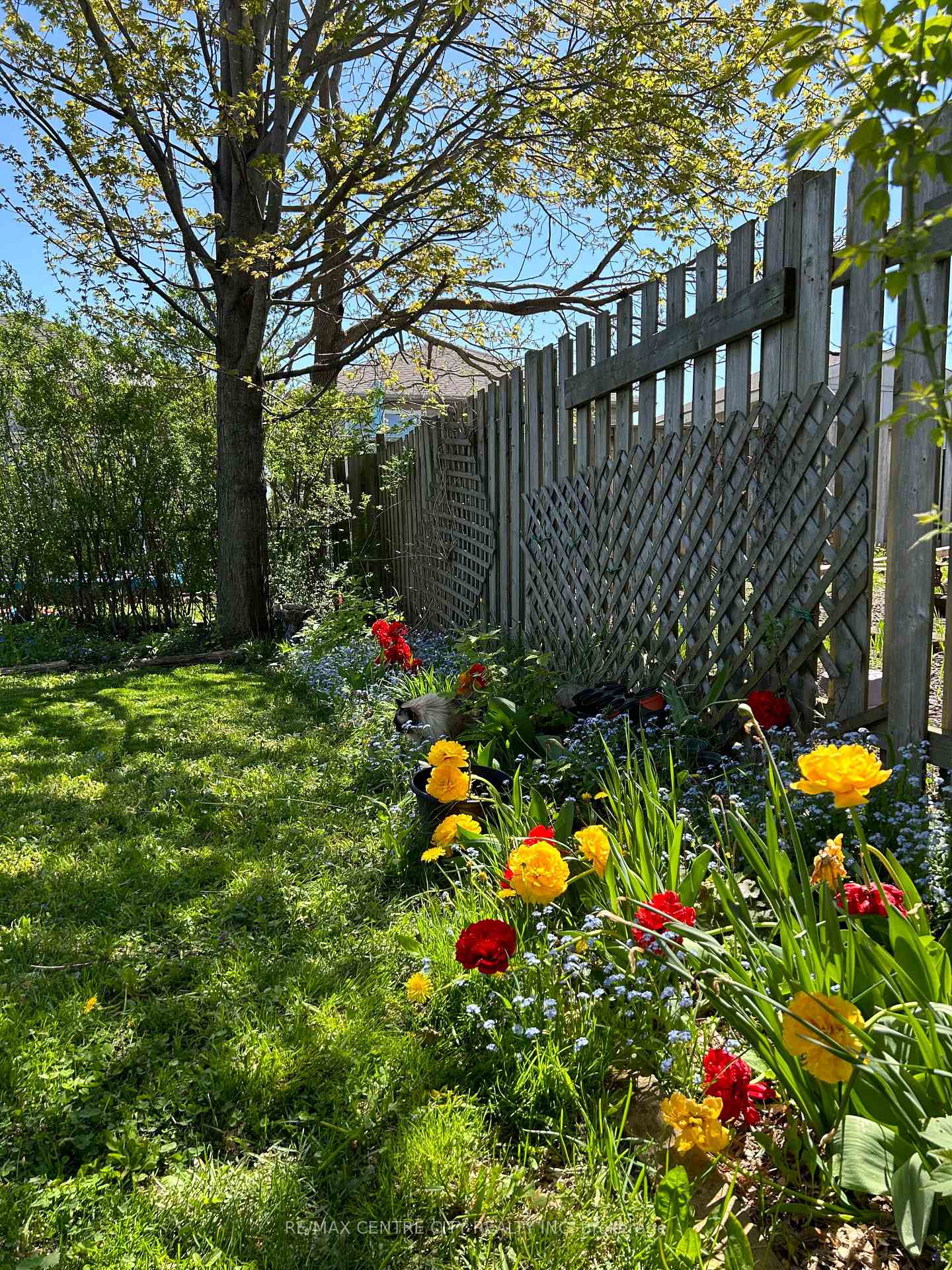 Photo 16 of 21 Juno Drive, St. Thomas — HOMEH
