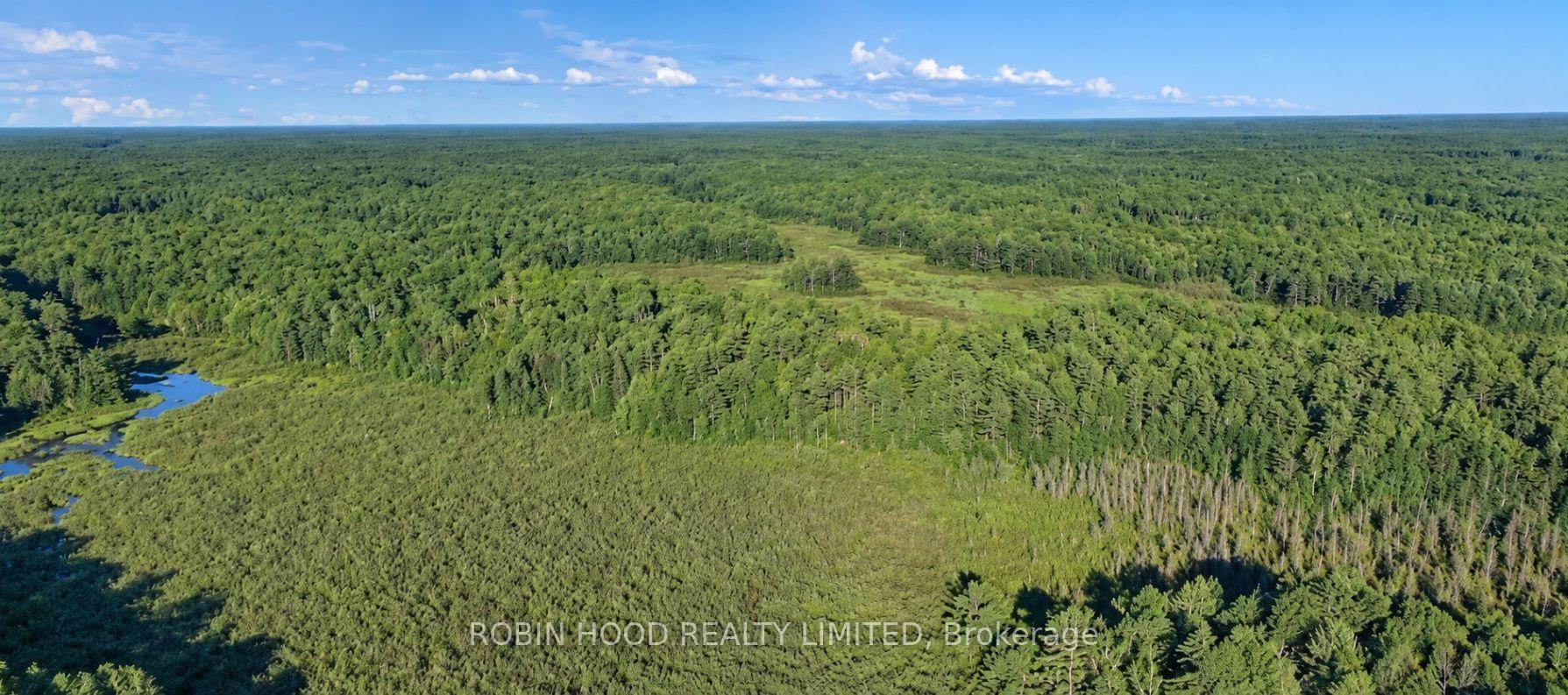Photo 4 of 4501 Upper Big Chute Road, Severn, Rural Severn — HOMEH