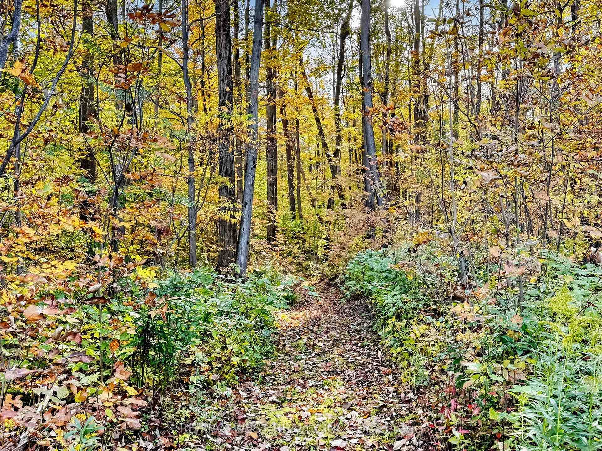Photo 48 of 9626 Murphy Road, Clarington, Rural Clarington — HOMEH