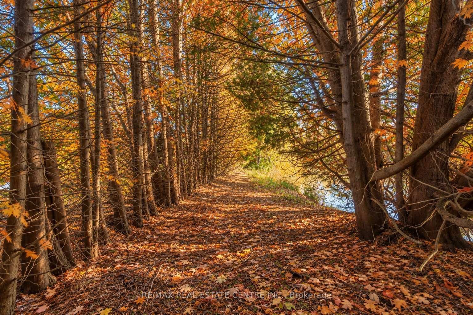 Photo 9 of 1 Cedar Drive, Caledon, Rural Caledon — HOMEH