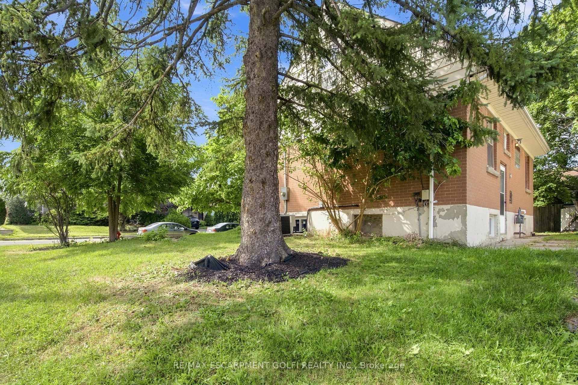 Photo 30 of 87 Radford Street, Hamilton, Ainslie Wood — HOMEH