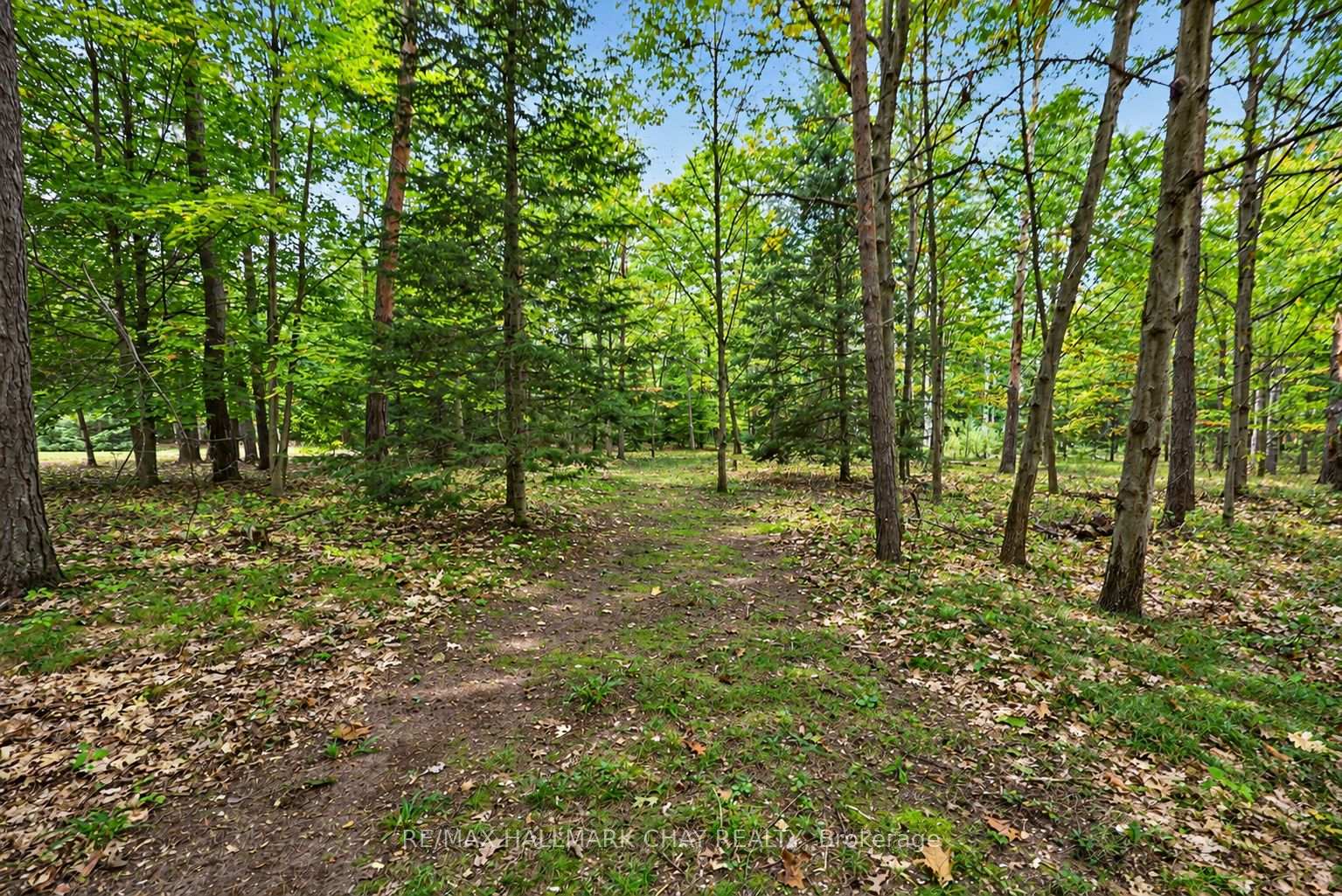 Photo 27 of 4 Binnie Drive, Springwater, Minesing — HOMEH