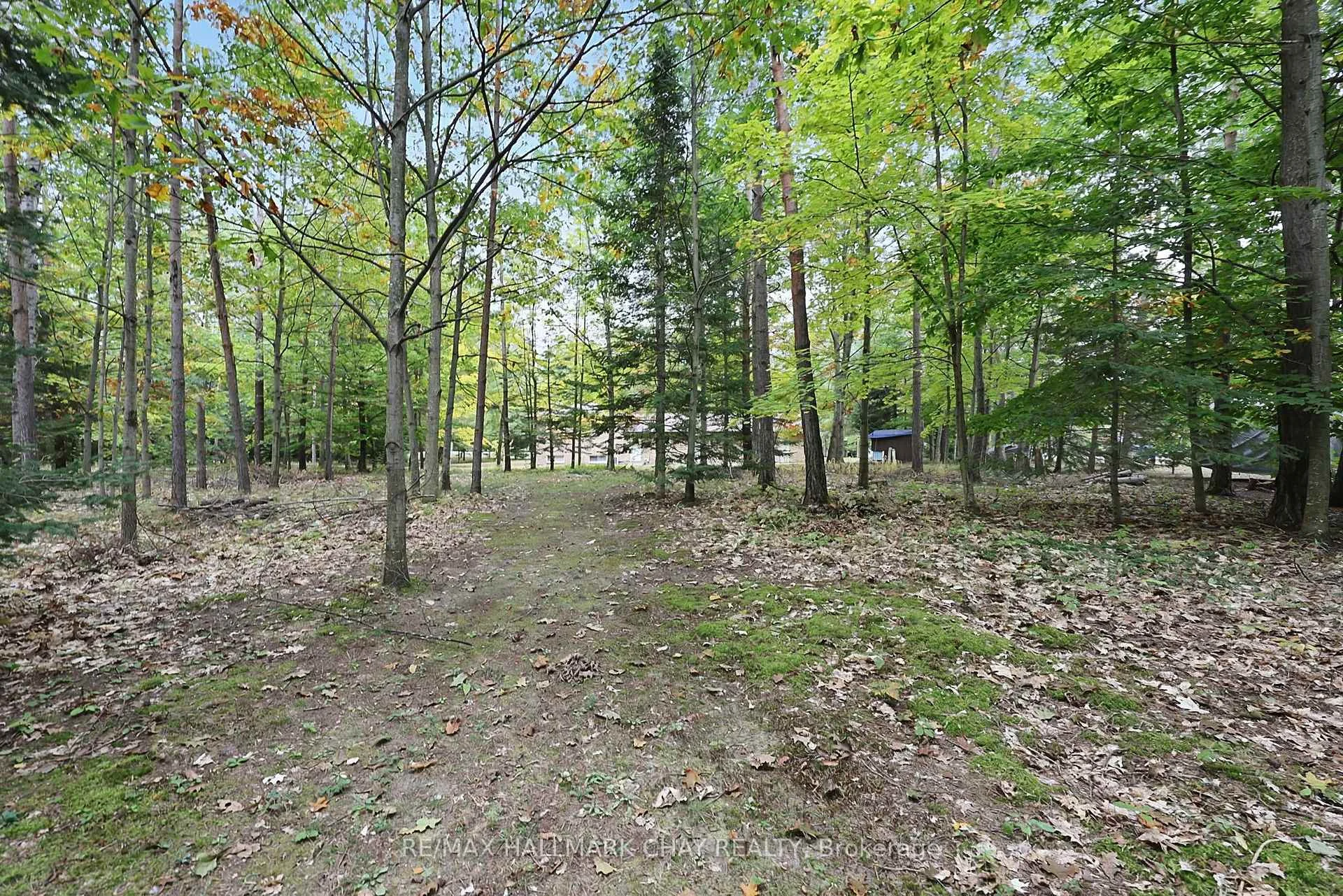 Photo 28 of 4 Binnie Drive, Springwater, Minesing — HOMEH