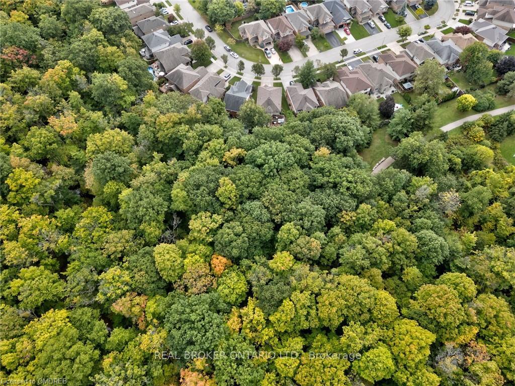 Photo 40 of 4184 Bianca Forest Drive, Burlington, Tansley — HOMEH