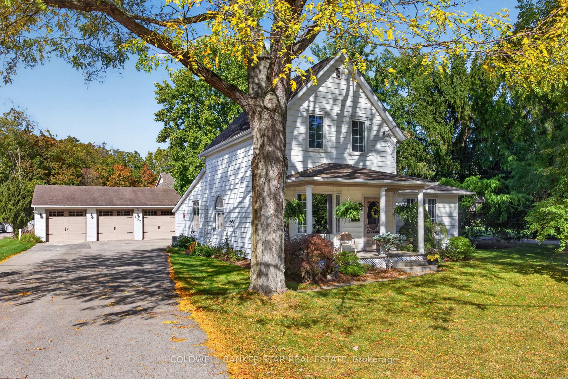 Photo of 137 St George Street