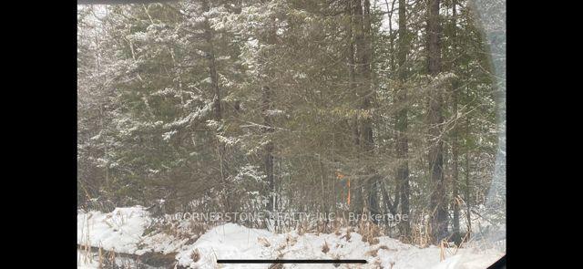 Photo 3 of 12 Edgar/Station Road Street, Perry, Scotia — HOMEH