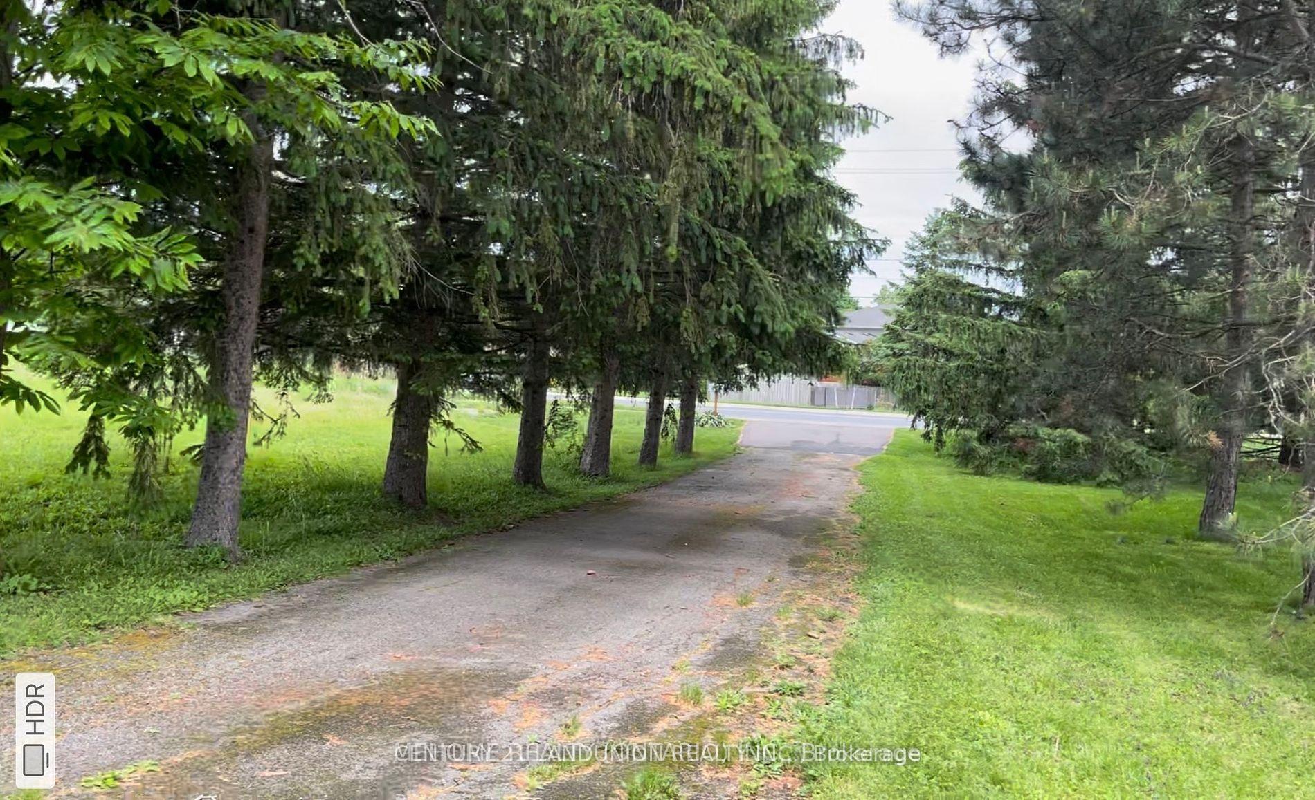 Photo 2 of 203 St Davids Road, Thorold, Confederation Heights — HOMEH