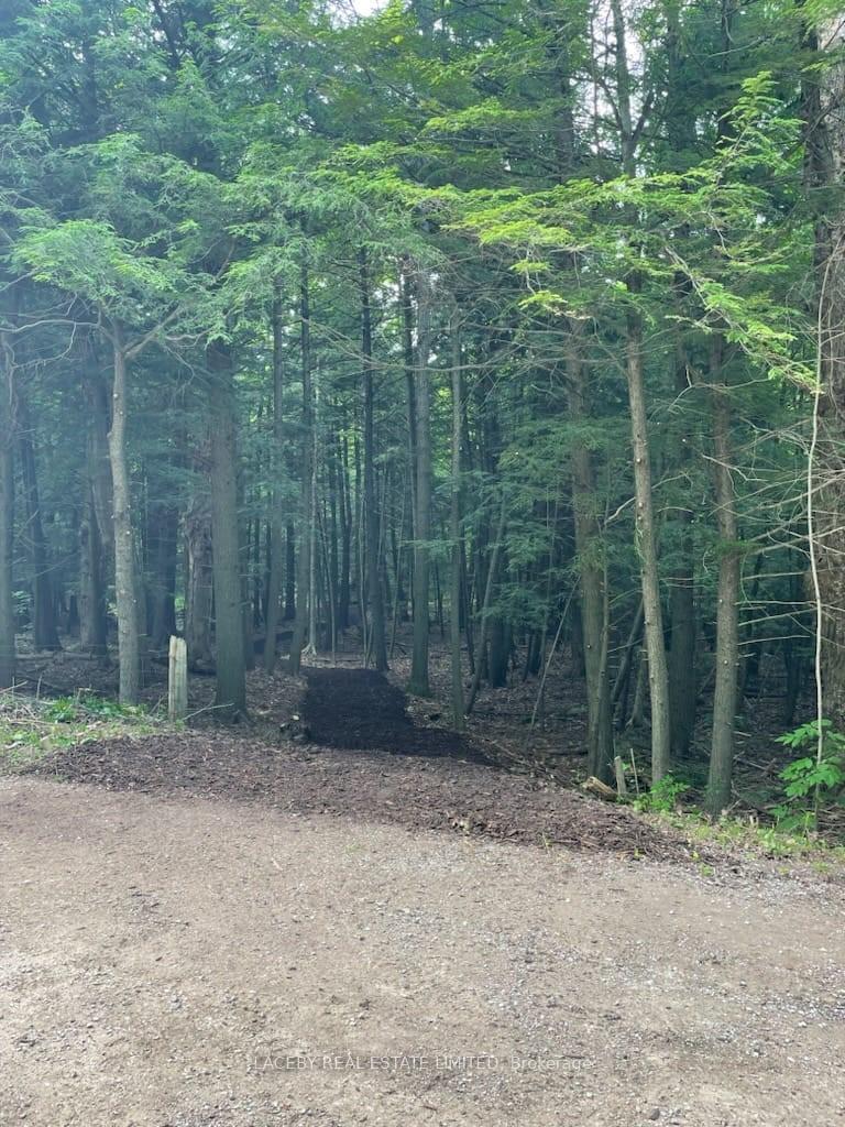 Photo 7 of 4090 17th Side Road, King, Rural King — HOMEH