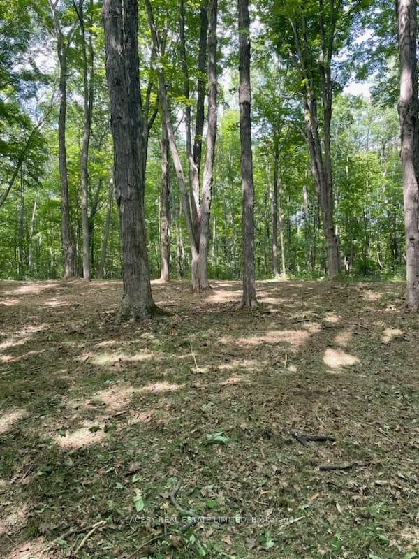 Photo 10 of 4090 17th Side Road, King, Rural King — HOMEH