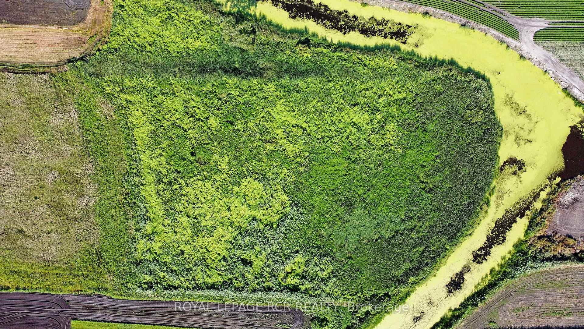 Photo 17 of 241 Devald Road, Bradford West Gwillimbury, Rural Bradford West Gwillimbury — HOMEH