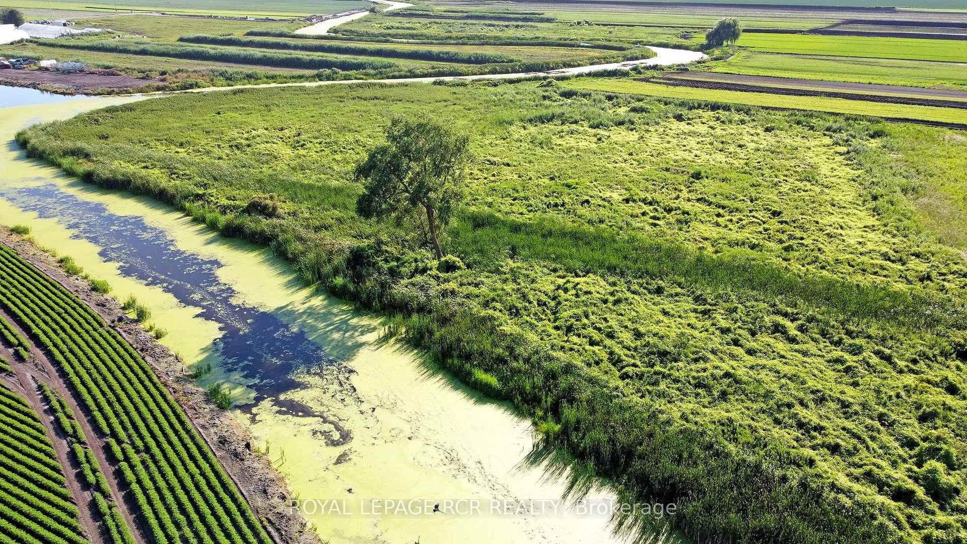 Photo 25 of 241 Devald Road, Bradford West Gwillimbury, Rural Bradford West Gwillimbury — HOMEH