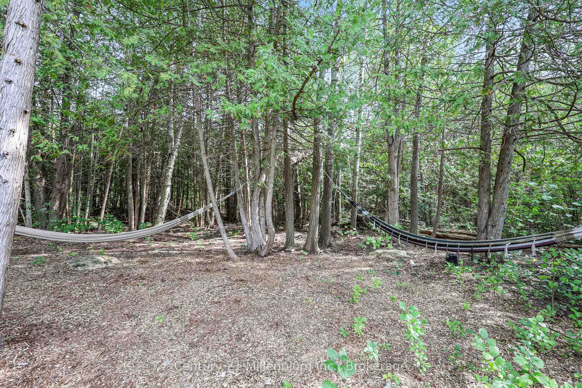 Photo 42 of 103 Tekiah Road, Blue Mountains — HOMEH