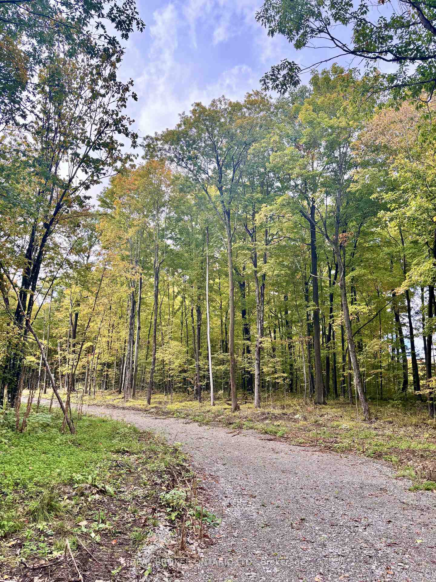 Photo 6 of 349 Burchill Road, Montague, Montague Twp — HOMEH