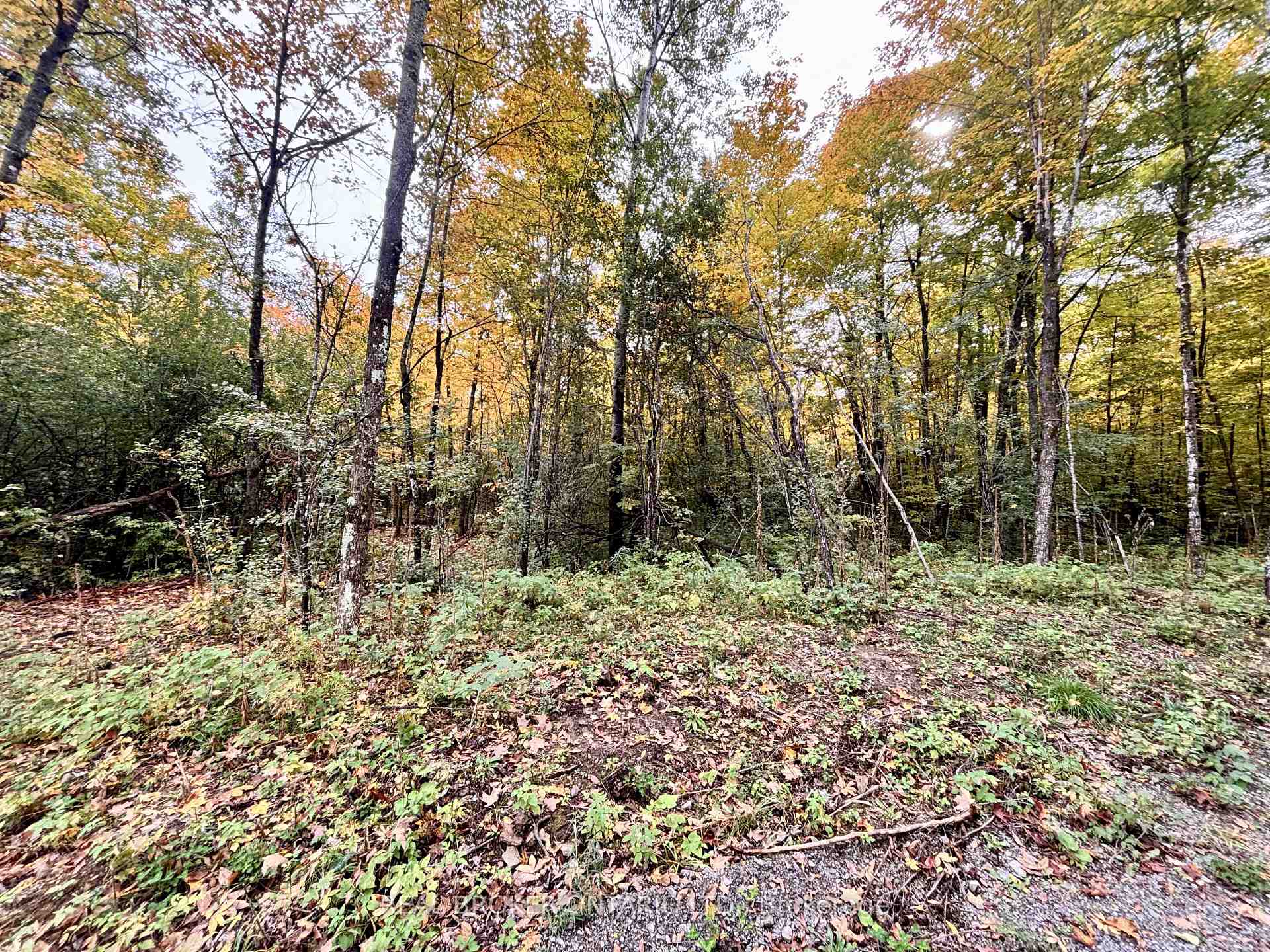 Photo 24 of 349 Burchill Road, Montague, Montague Twp — HOMEH