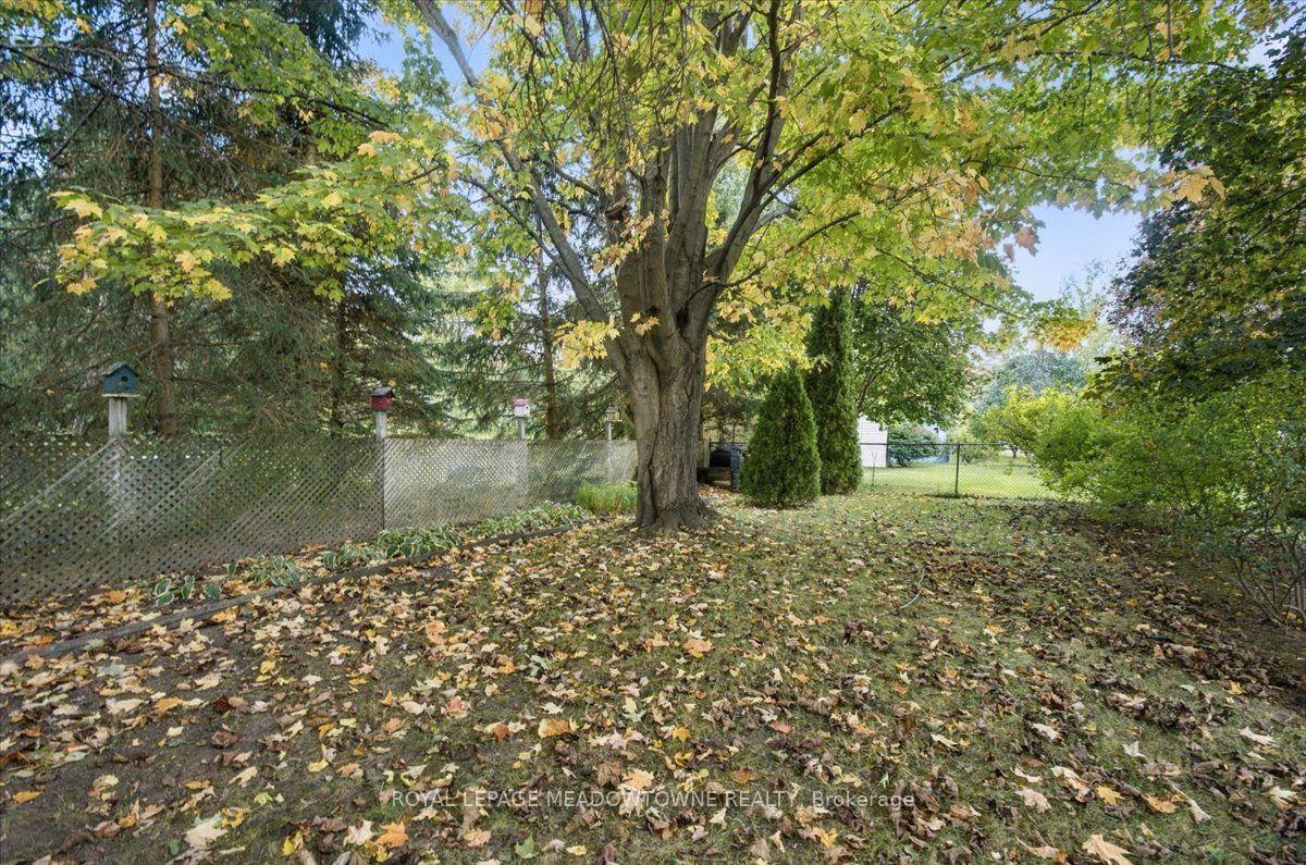 Photo 31 of 137 Orchard Drive, Blue Mountains — HOMEH