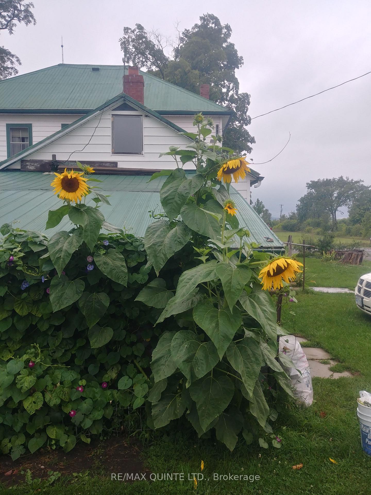 Photo 48 of 3511 County Road 1, Prince Edward County, Hallowell Ward — HOMEH