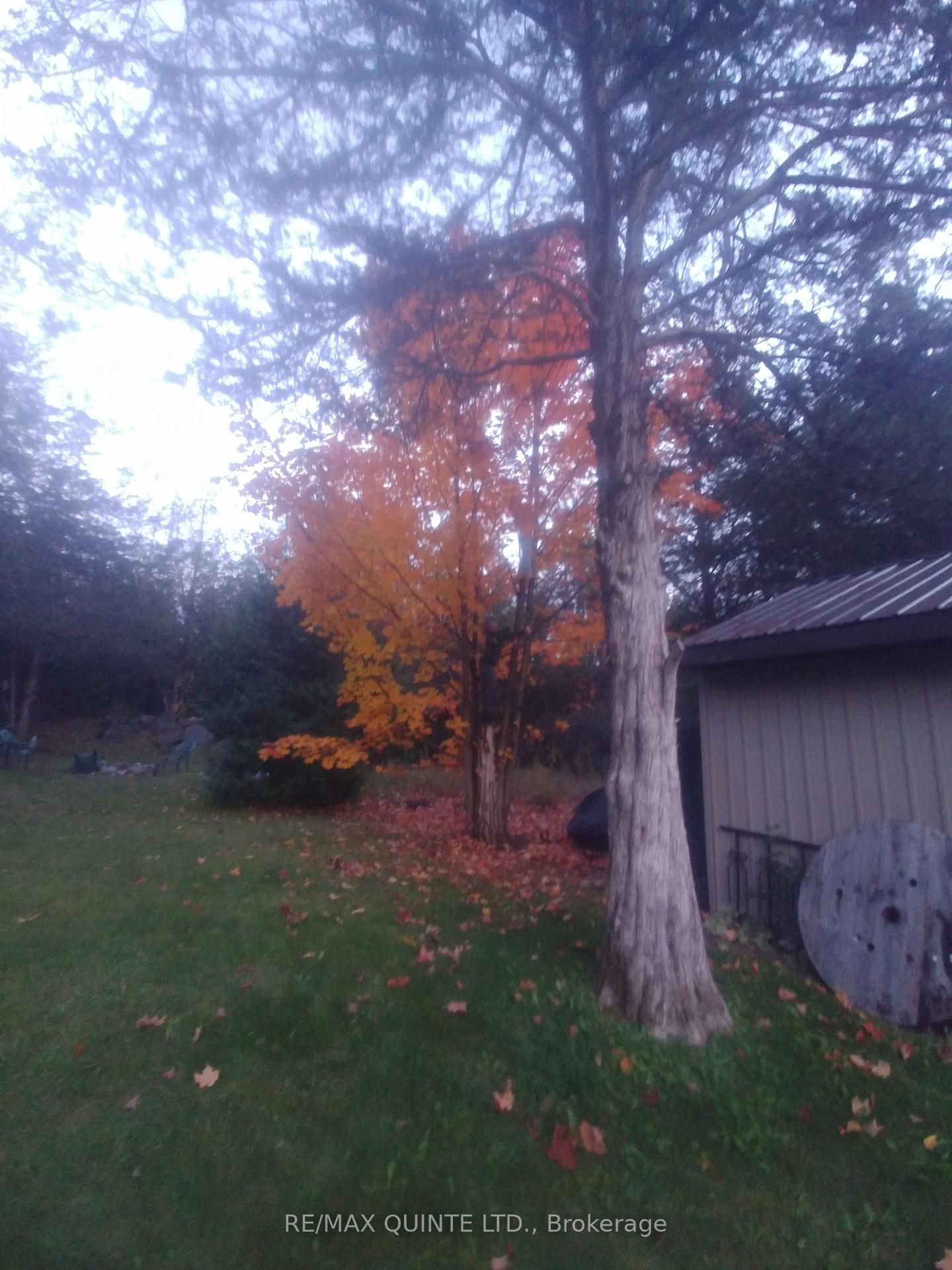 Photo 50 of 3511 County Road 1, Prince Edward County, Hallowell Ward — HOMEH