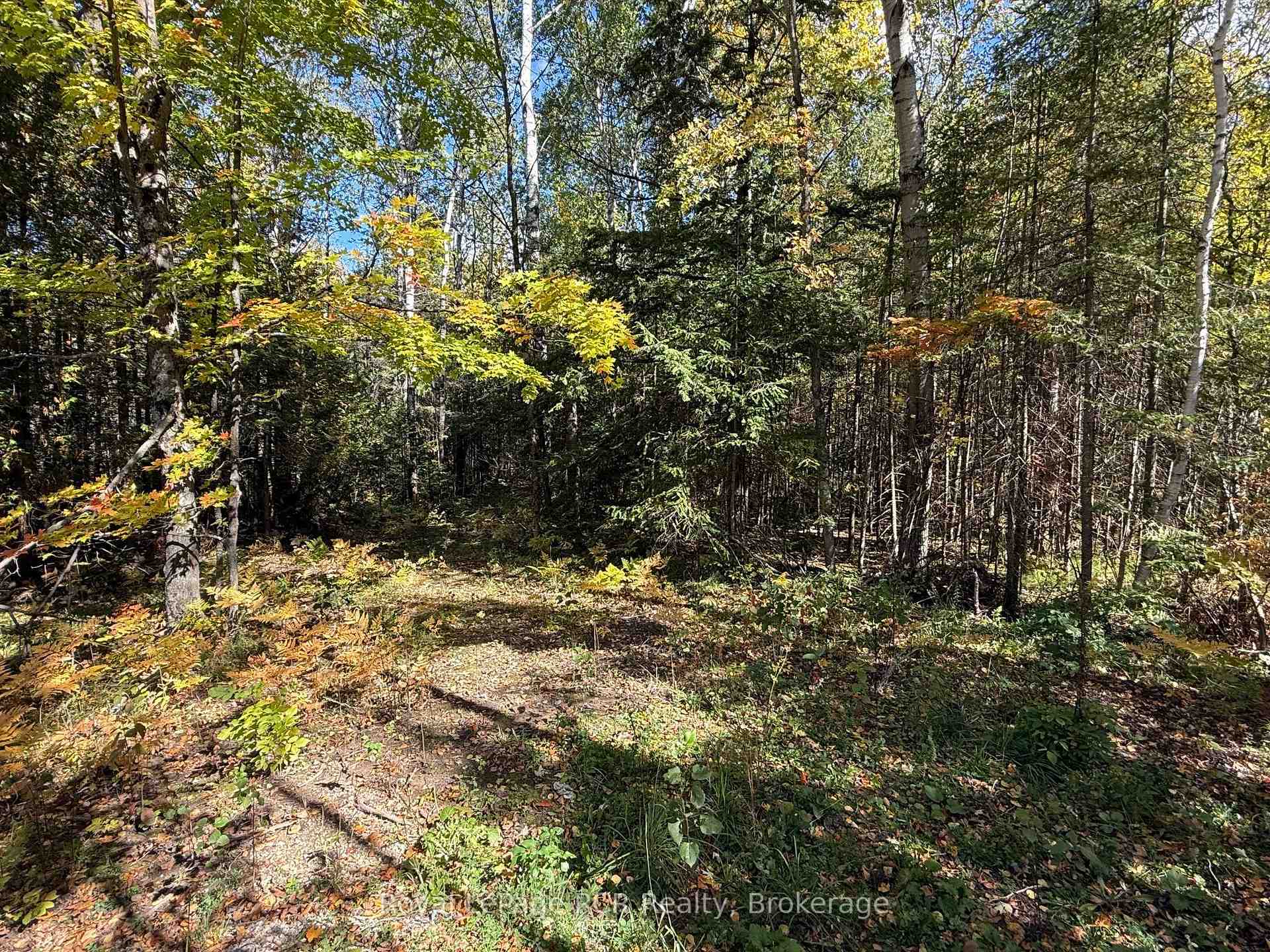 Photo 2 of PT LT 1-2 Concession 3, Georgian Bluffs — HOMEH