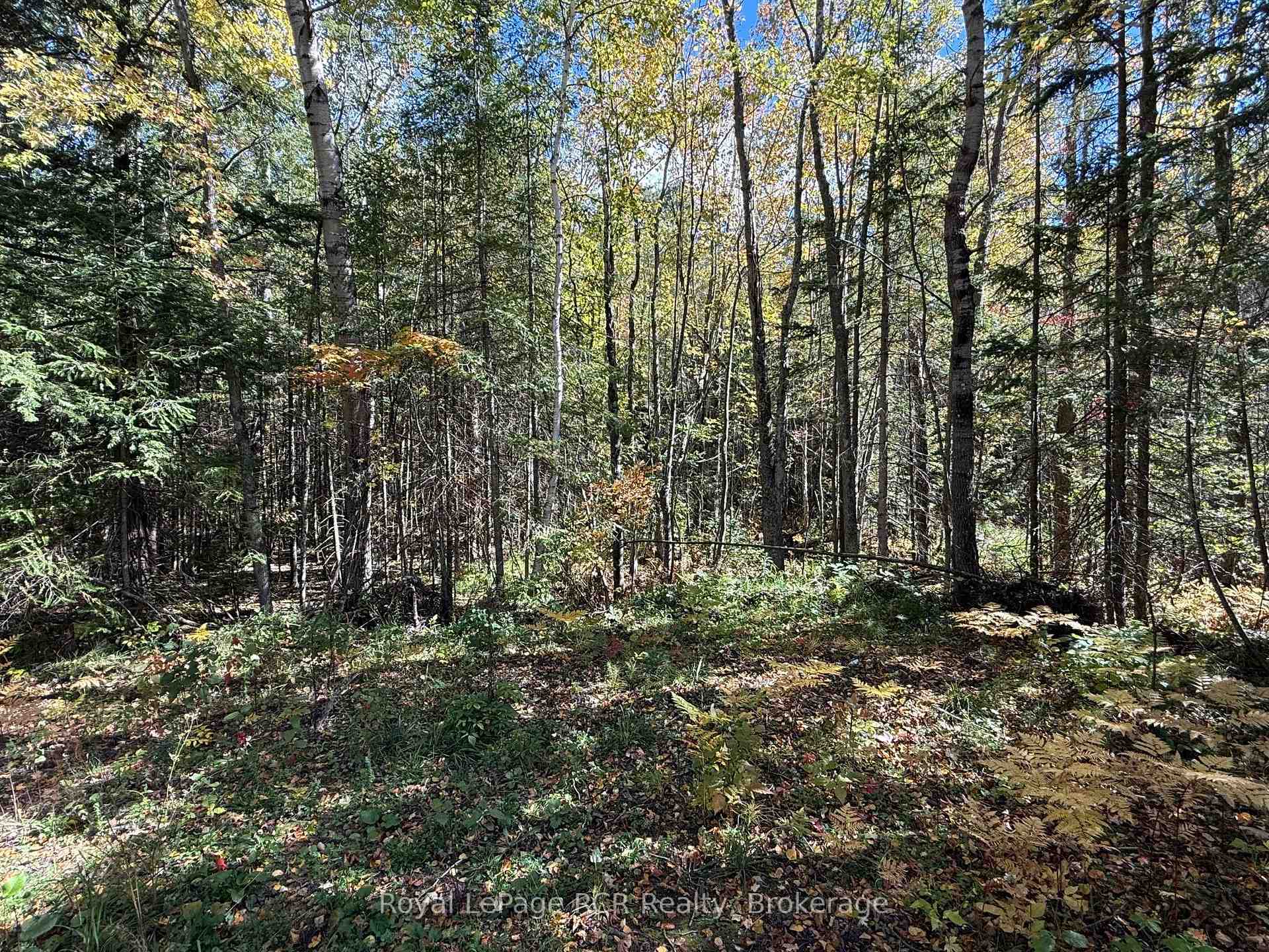 Photo 3 of PT LT 1-2 Concession 3, Georgian Bluffs — HOMEH