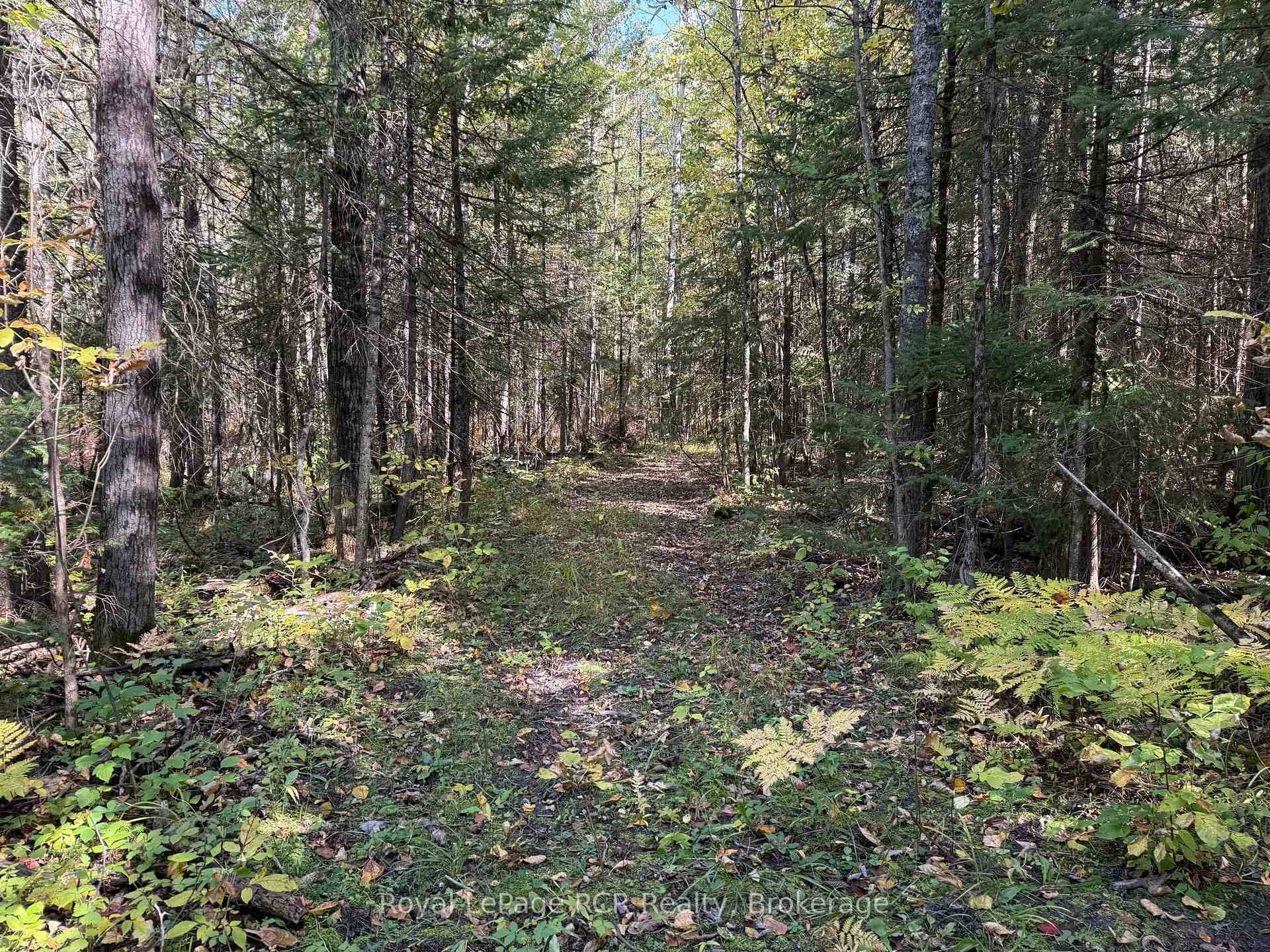 Photo 4 of PT LT 1-2 Concession 3, Georgian Bluffs — HOMEH